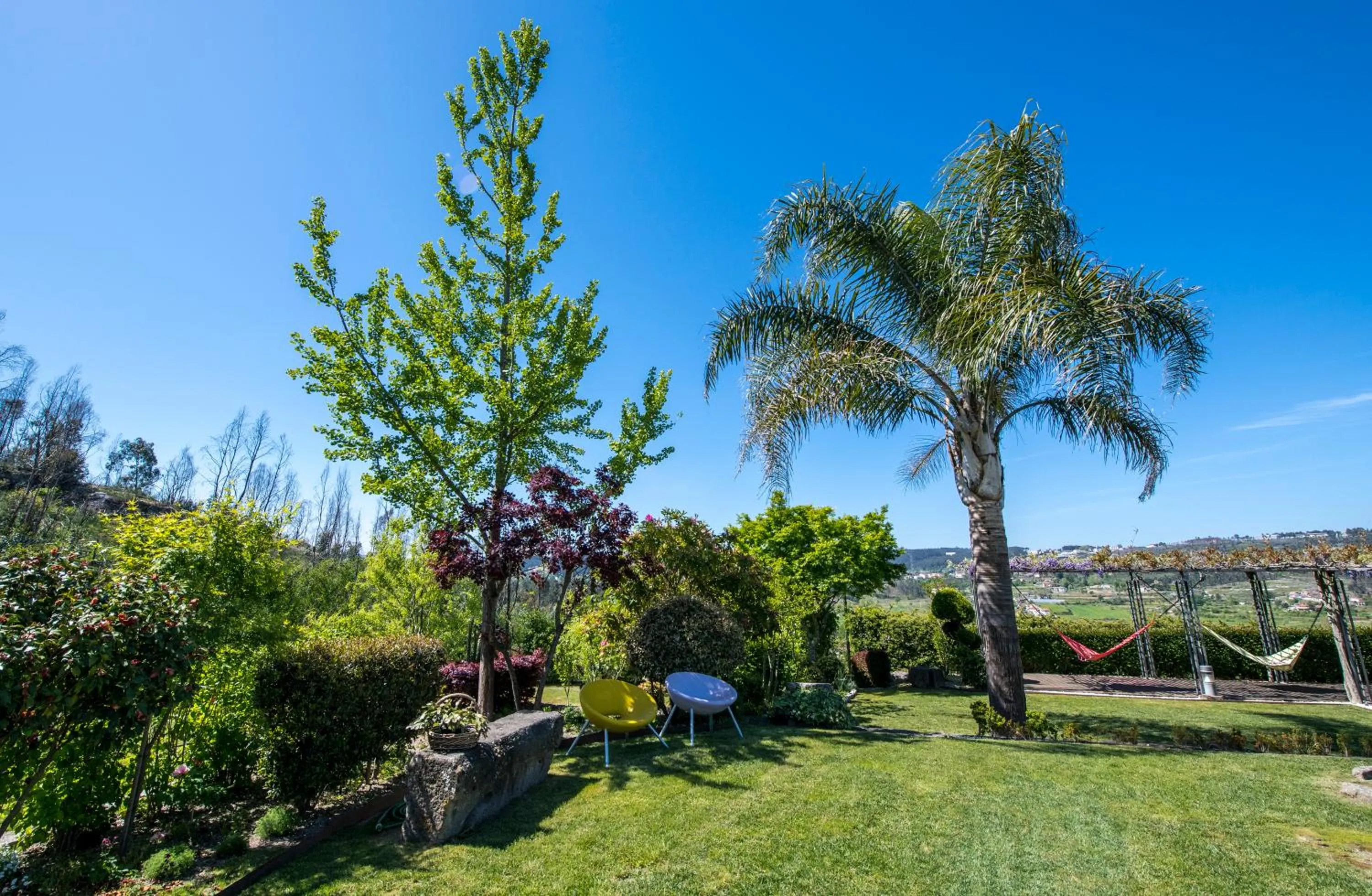 Garden in Casa da Costa Grande