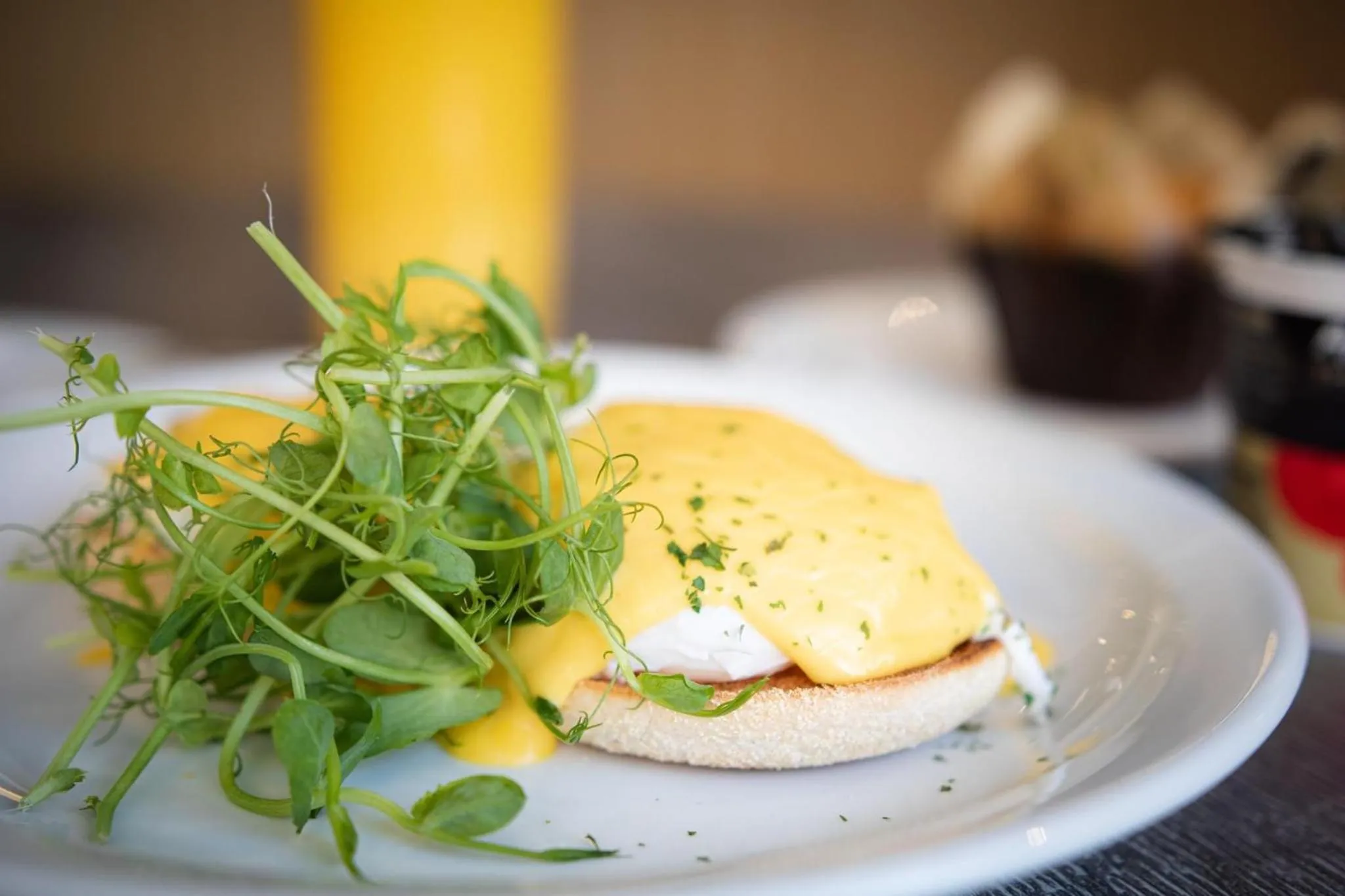 Breakfast in Lion Hotel
