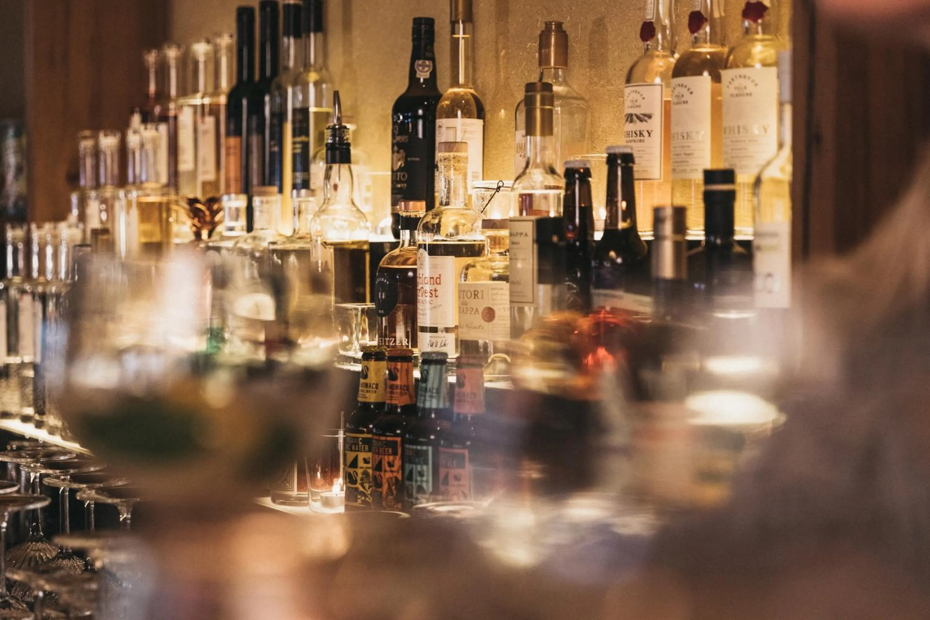 Lounge or bar in Biohotel Rupertus