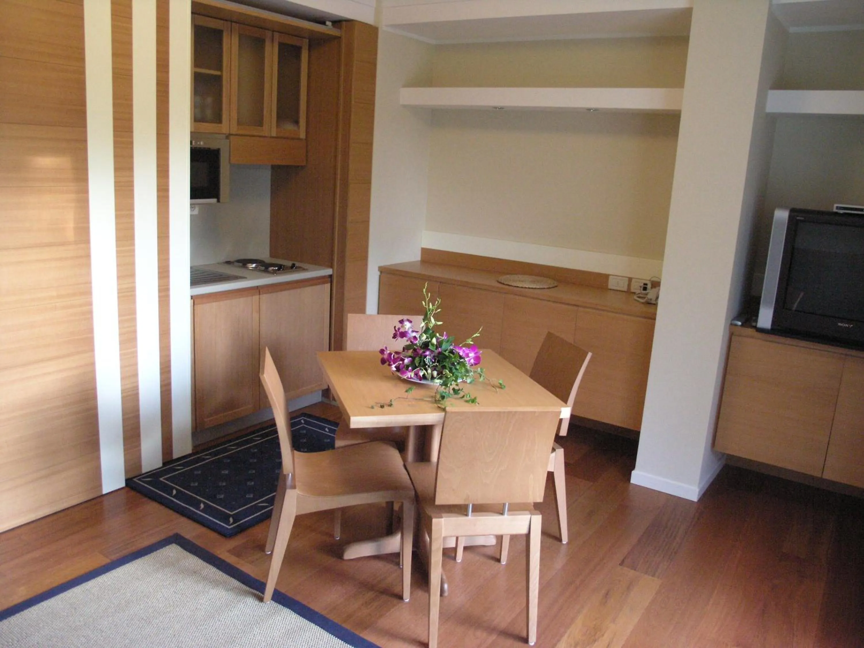 TV and multimedia in Aparthotel England