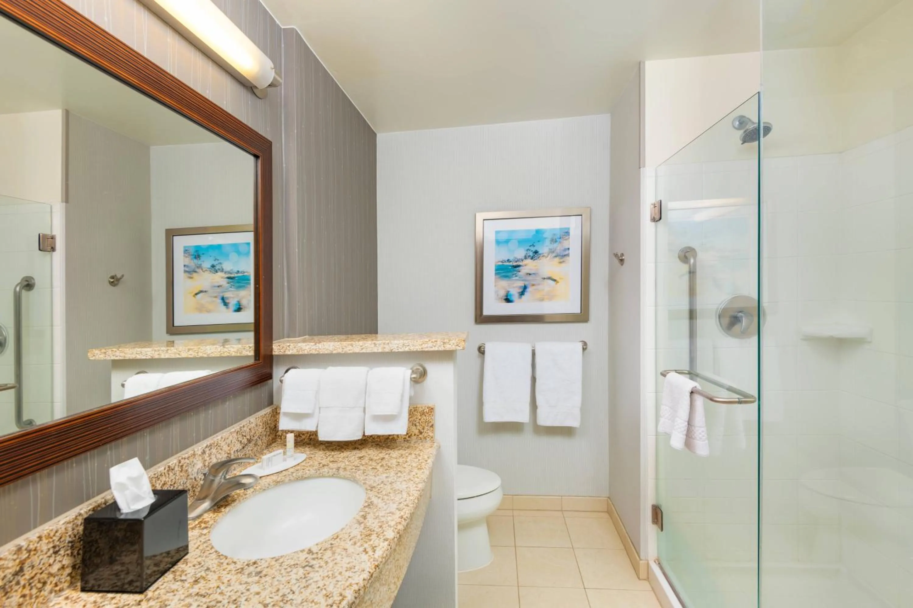 Bathroom in Courtyard by Marriott Santa Ana Orange County