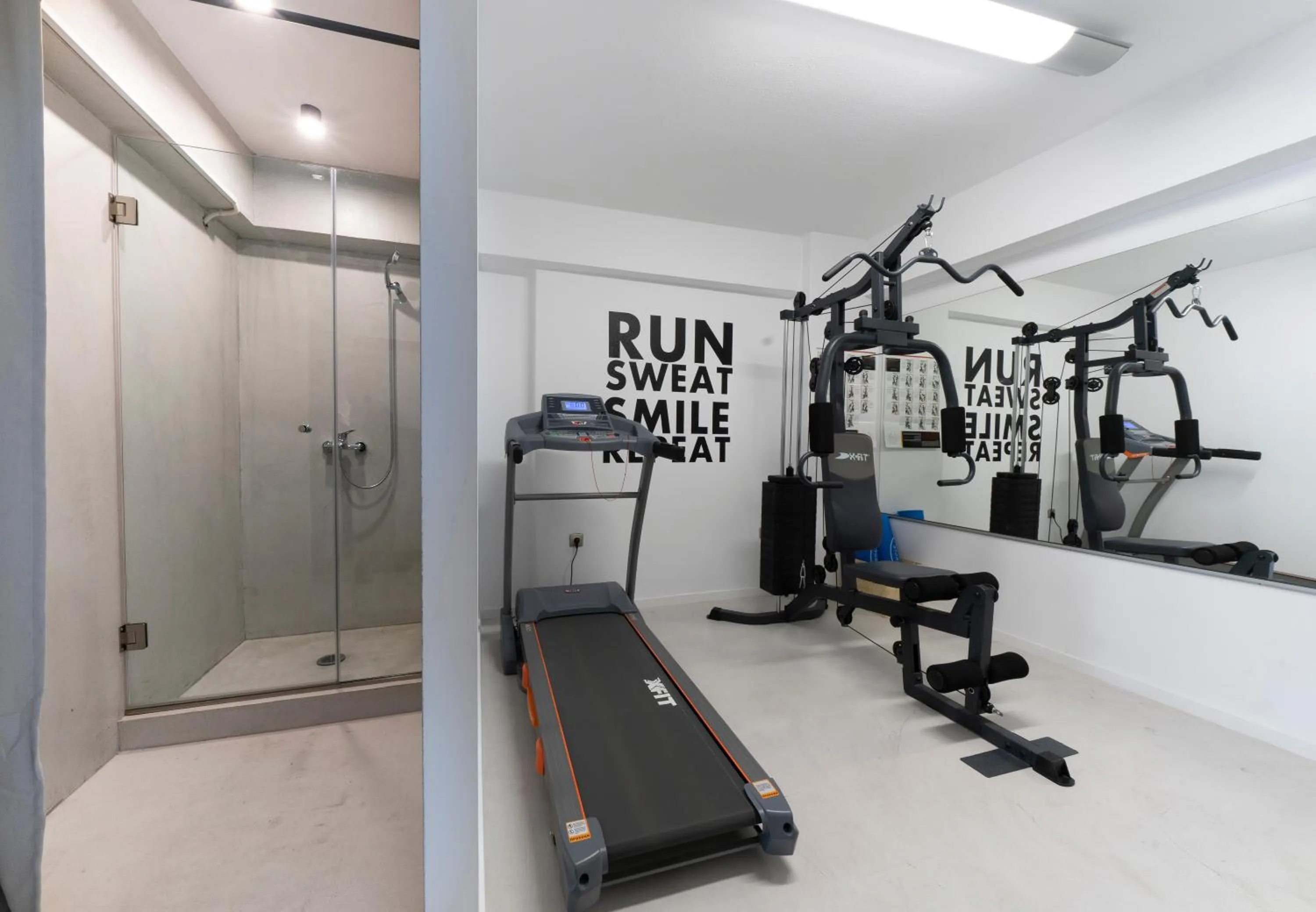 Fitness centre/facilities in The Anthemion House
