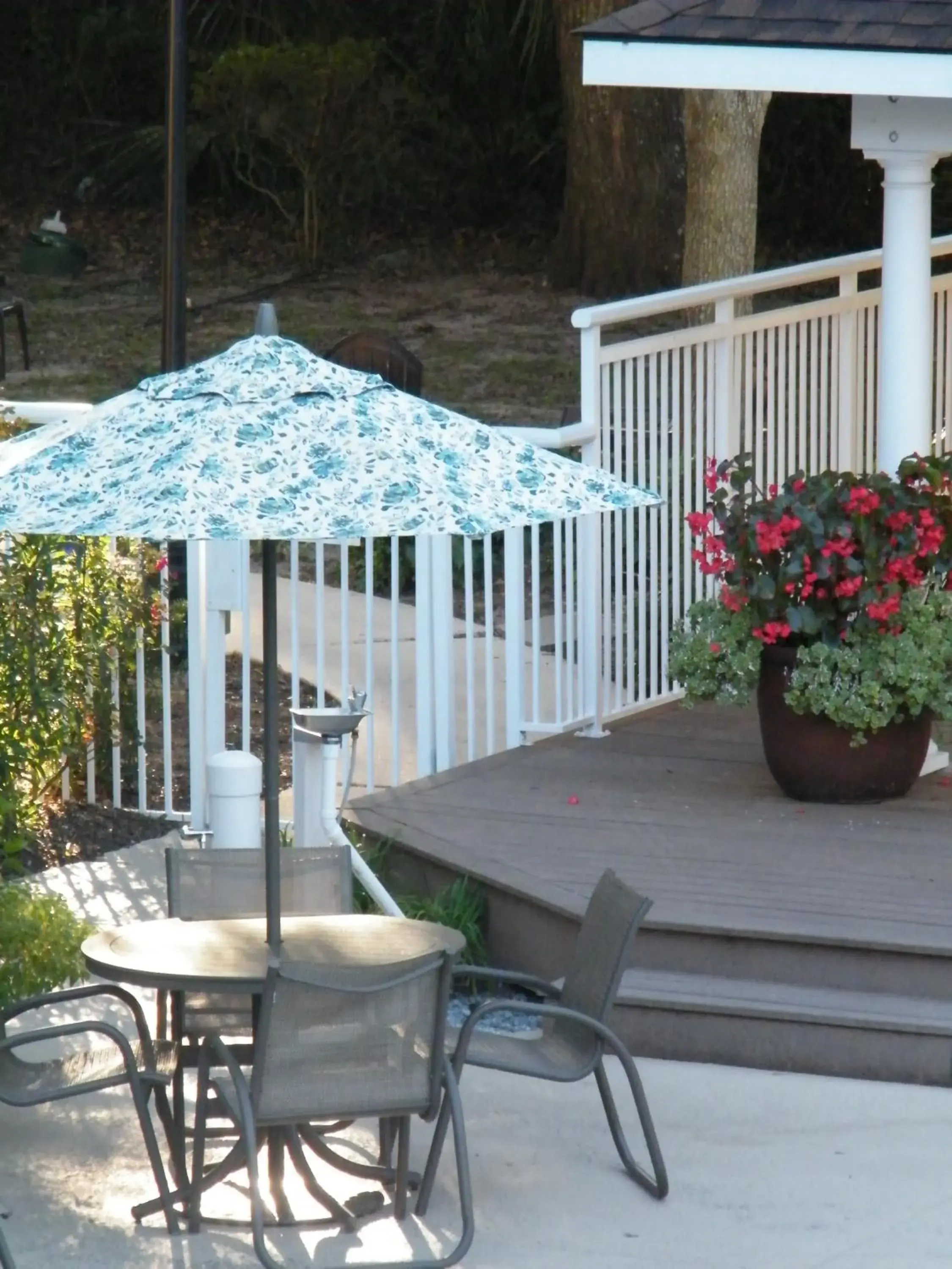 Swimming pool in Palmera Inn and Suites Swimming pool in Palmera Inn and Suites