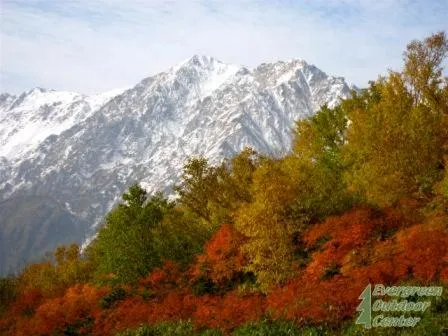 Natural landscape in Hakuba Yamano Hotel