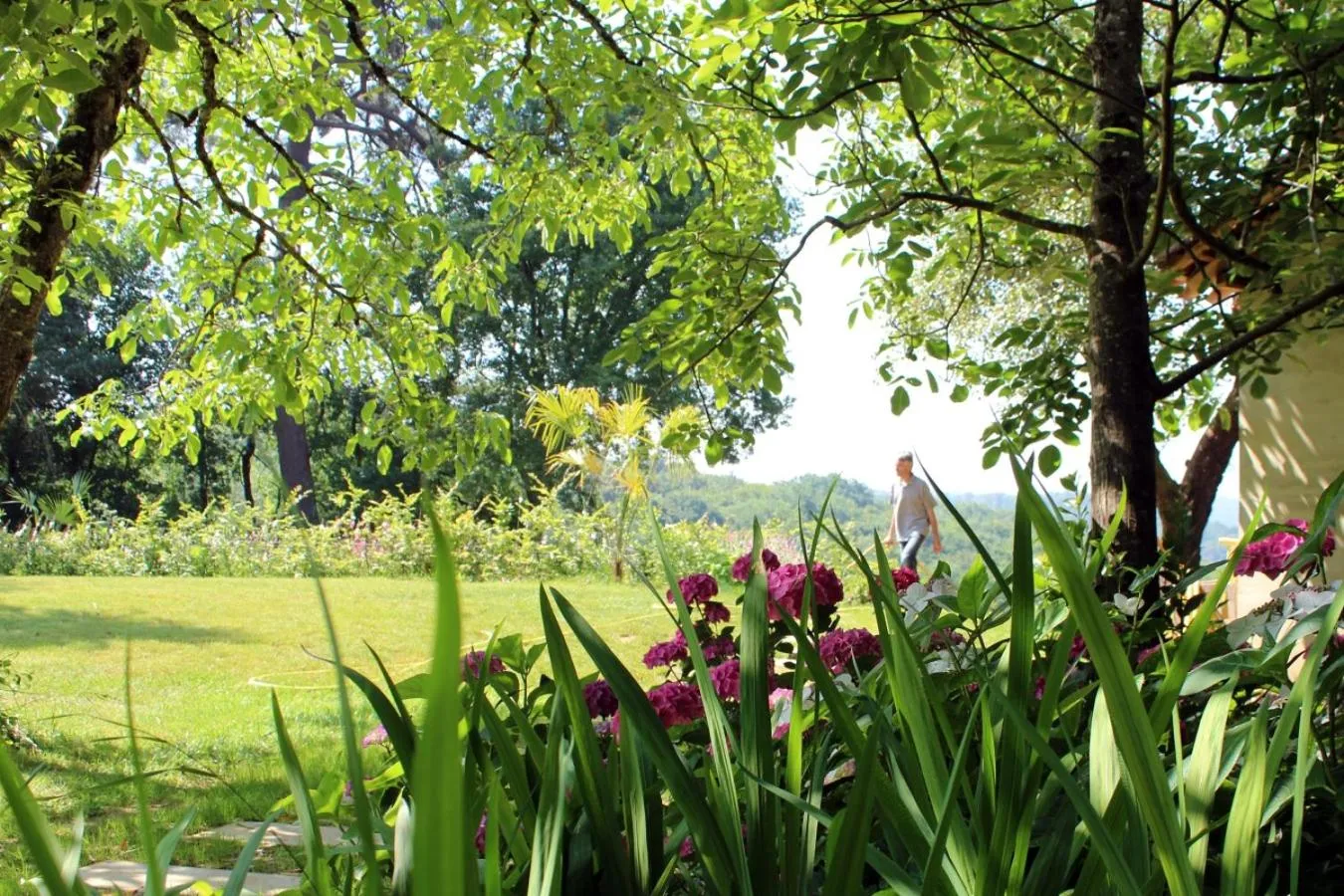 Garden view in Maison Poche