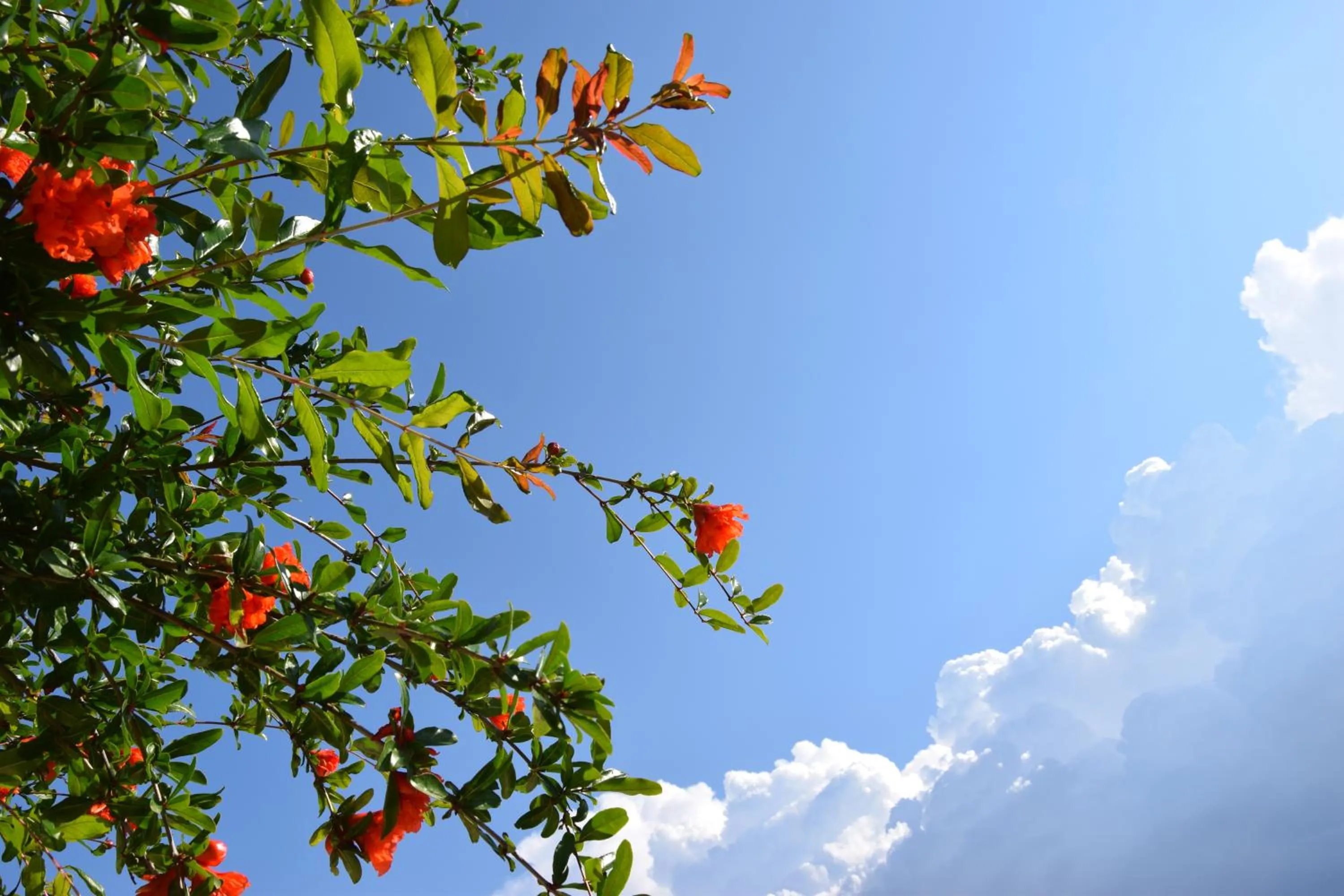 Day in Al Chiaro di Luna