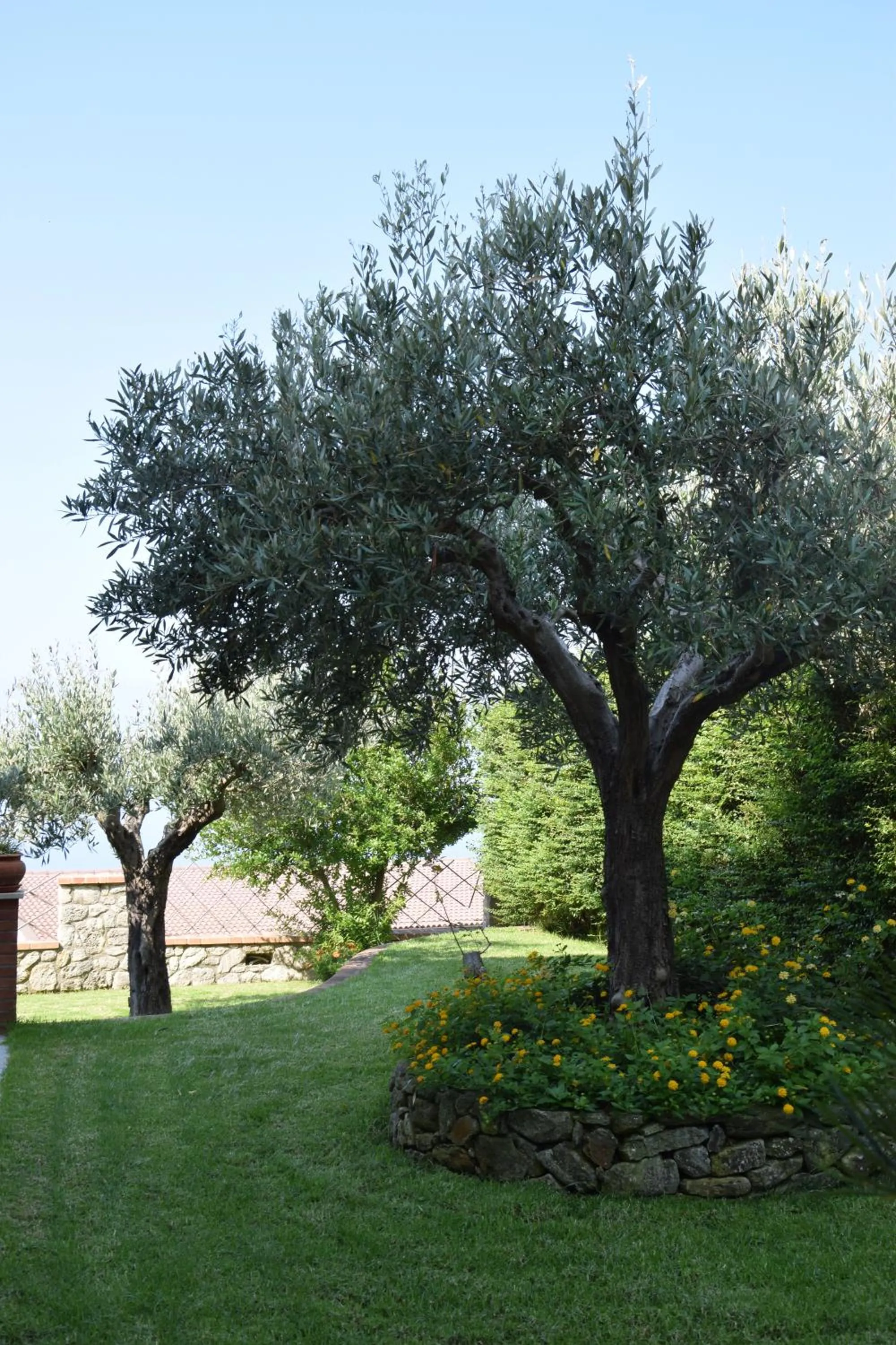 Day in Al Chiaro di Luna