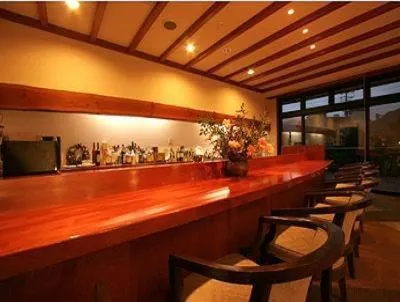 Lounge or bar in Hakuba Hotel Ougiya