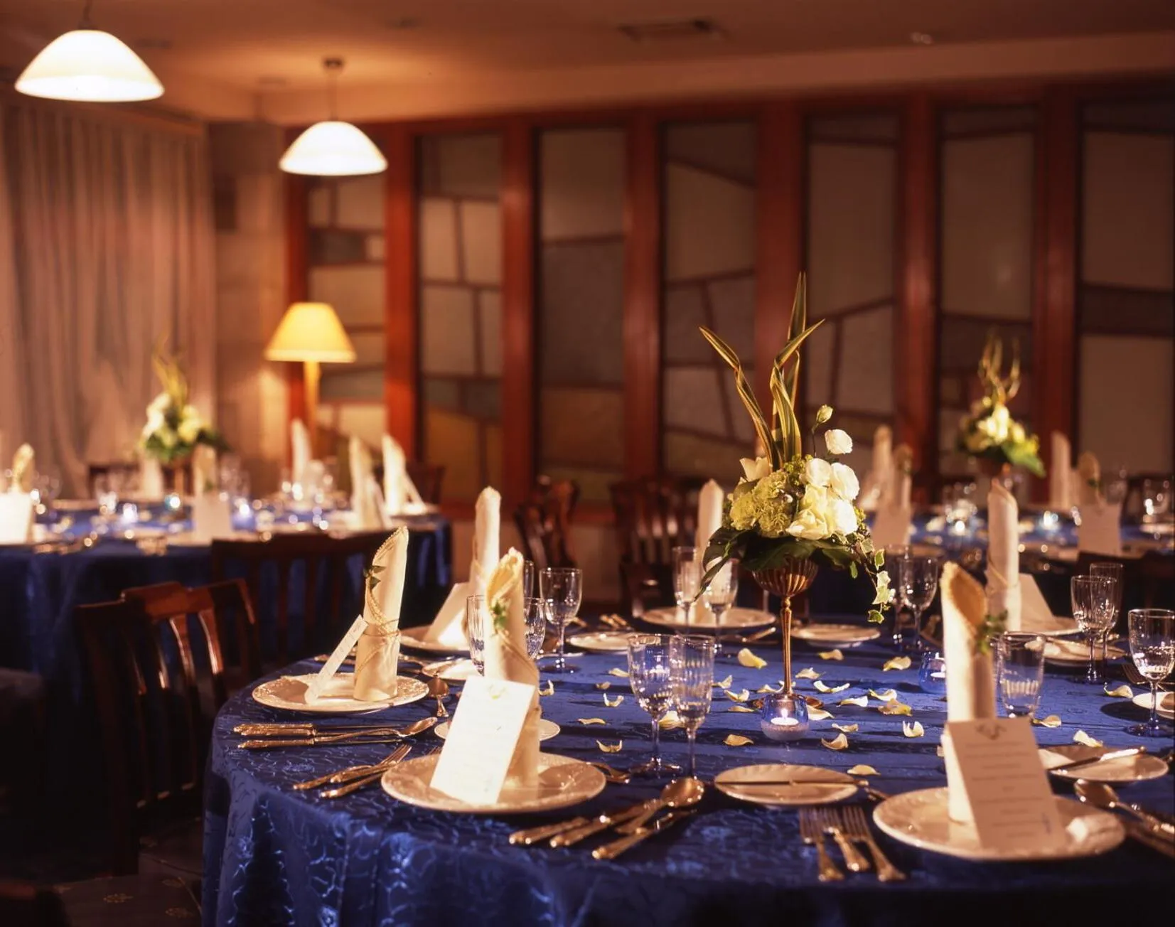 Banquet/Function facilities in Hakuba Hotel Ougiya