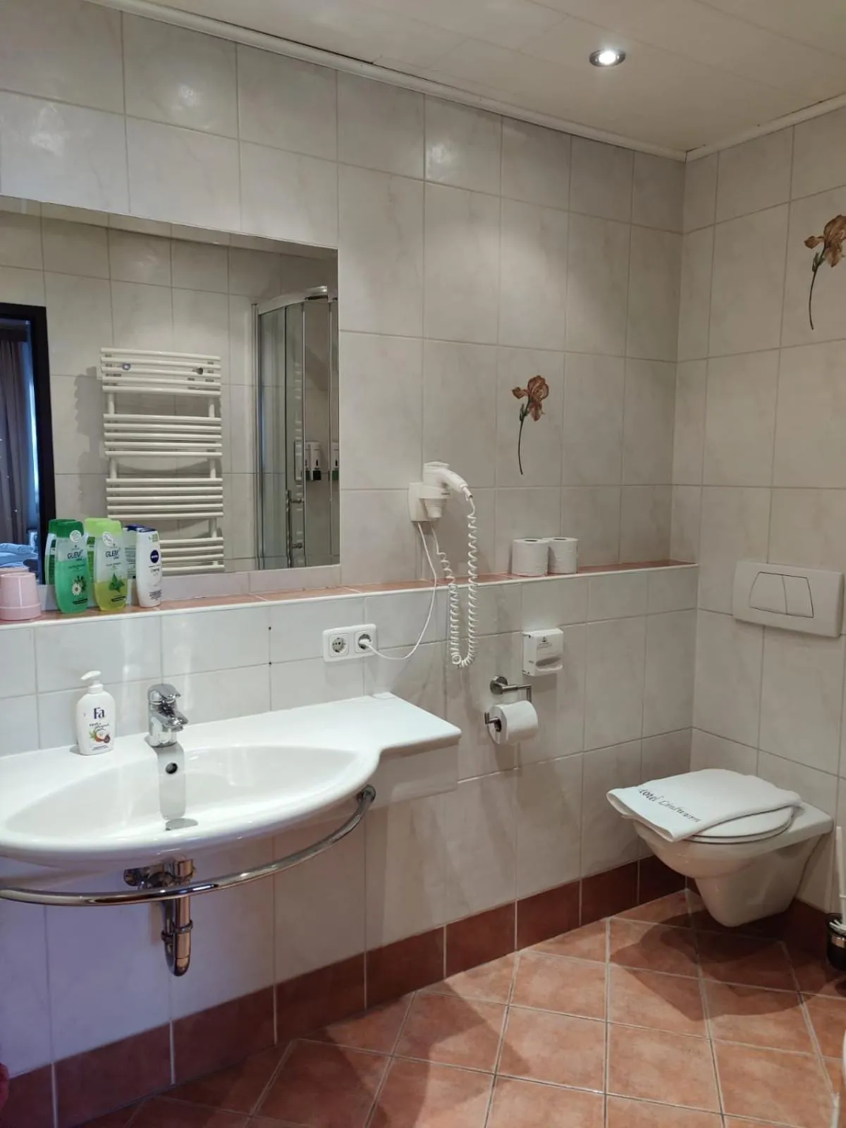 Bathroom in Hotel Lindwurm