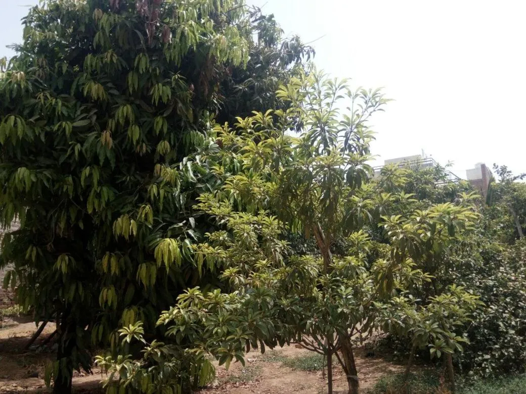 Nature Trail camps & Homestay