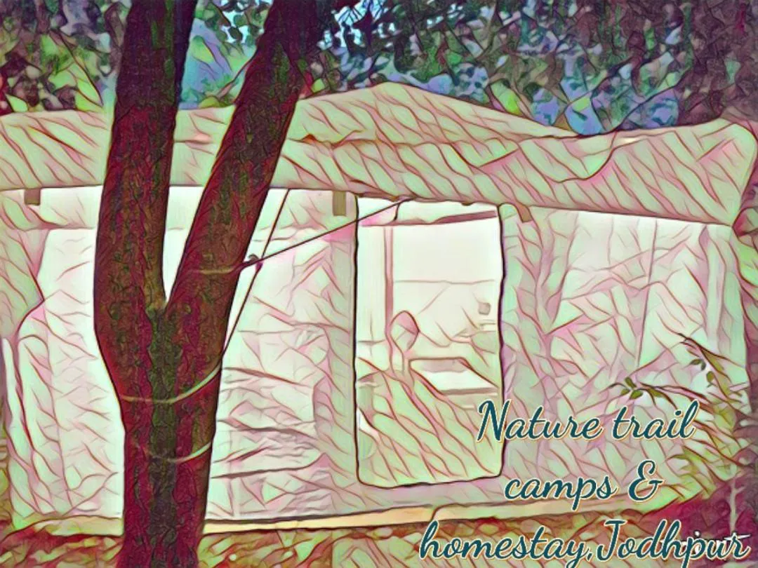 Property building in Nature Trail camps & Homestay