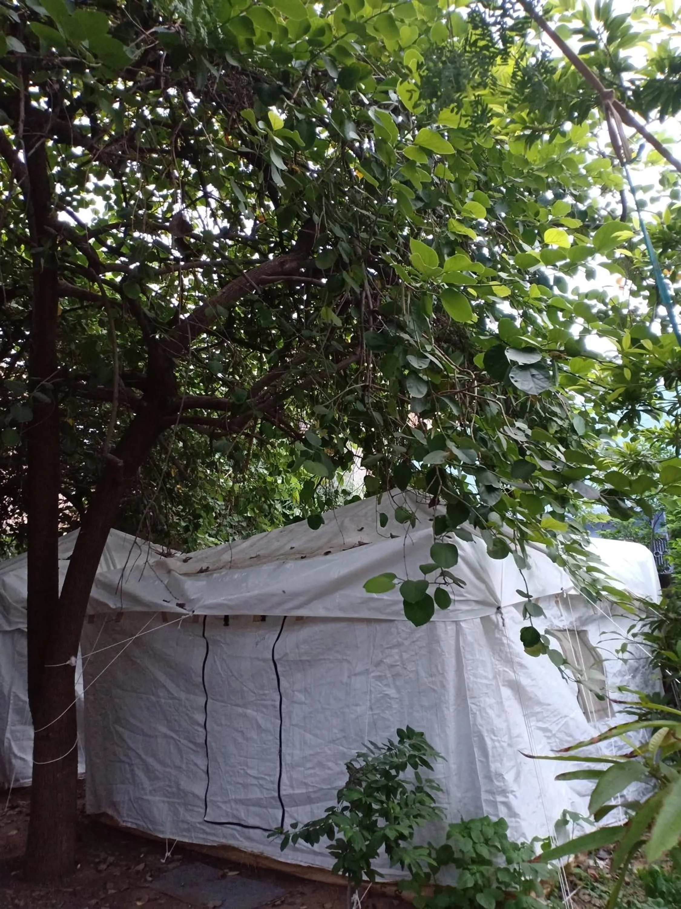Nature Trail camps & Homestay
