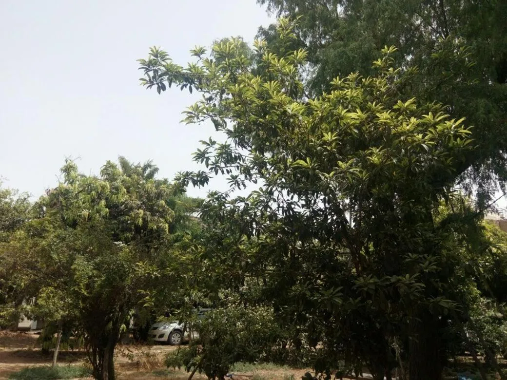 Nature Trail camps & Homestay