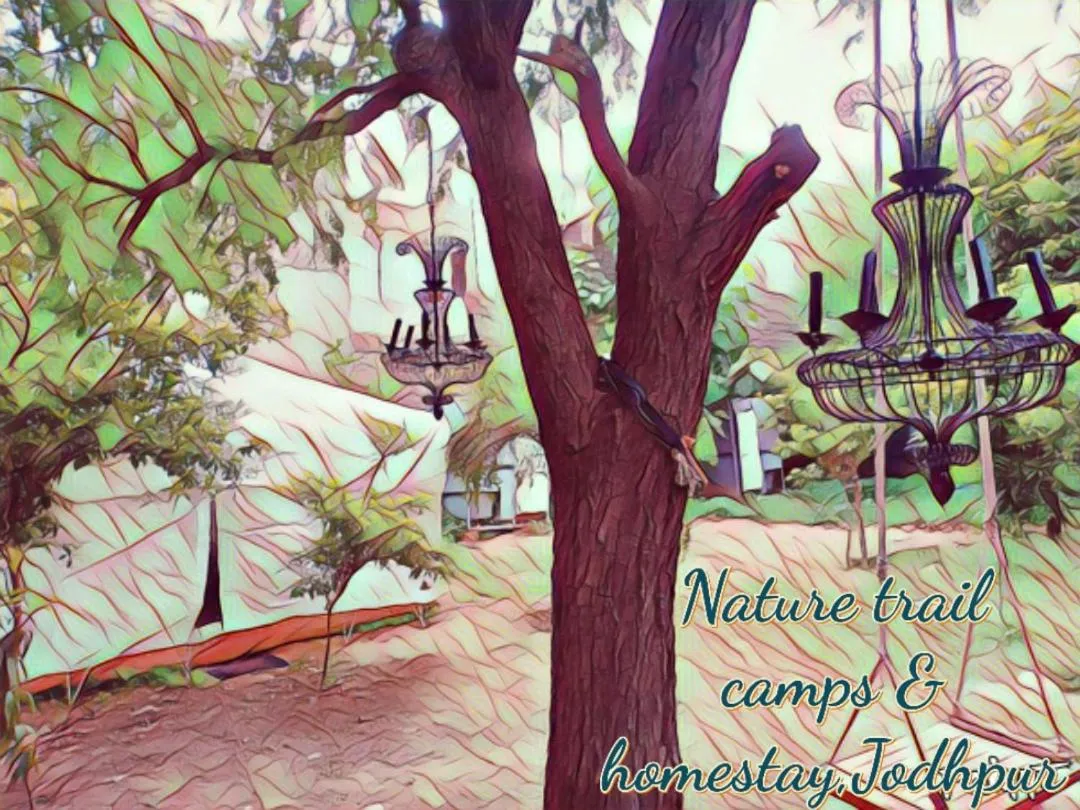 Property building in Nature Trail camps & Homestay