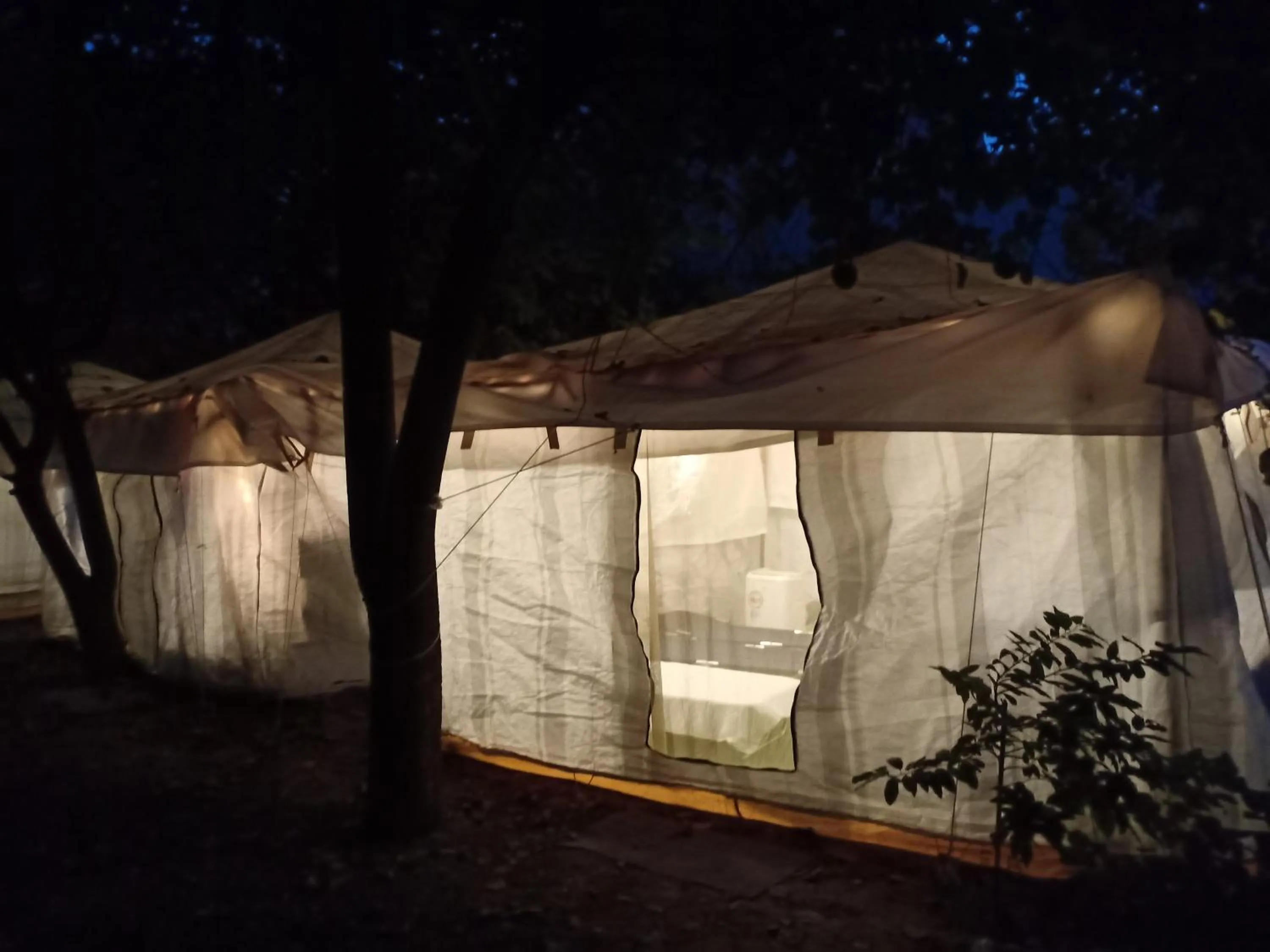 Nature Trail camps & Homestay