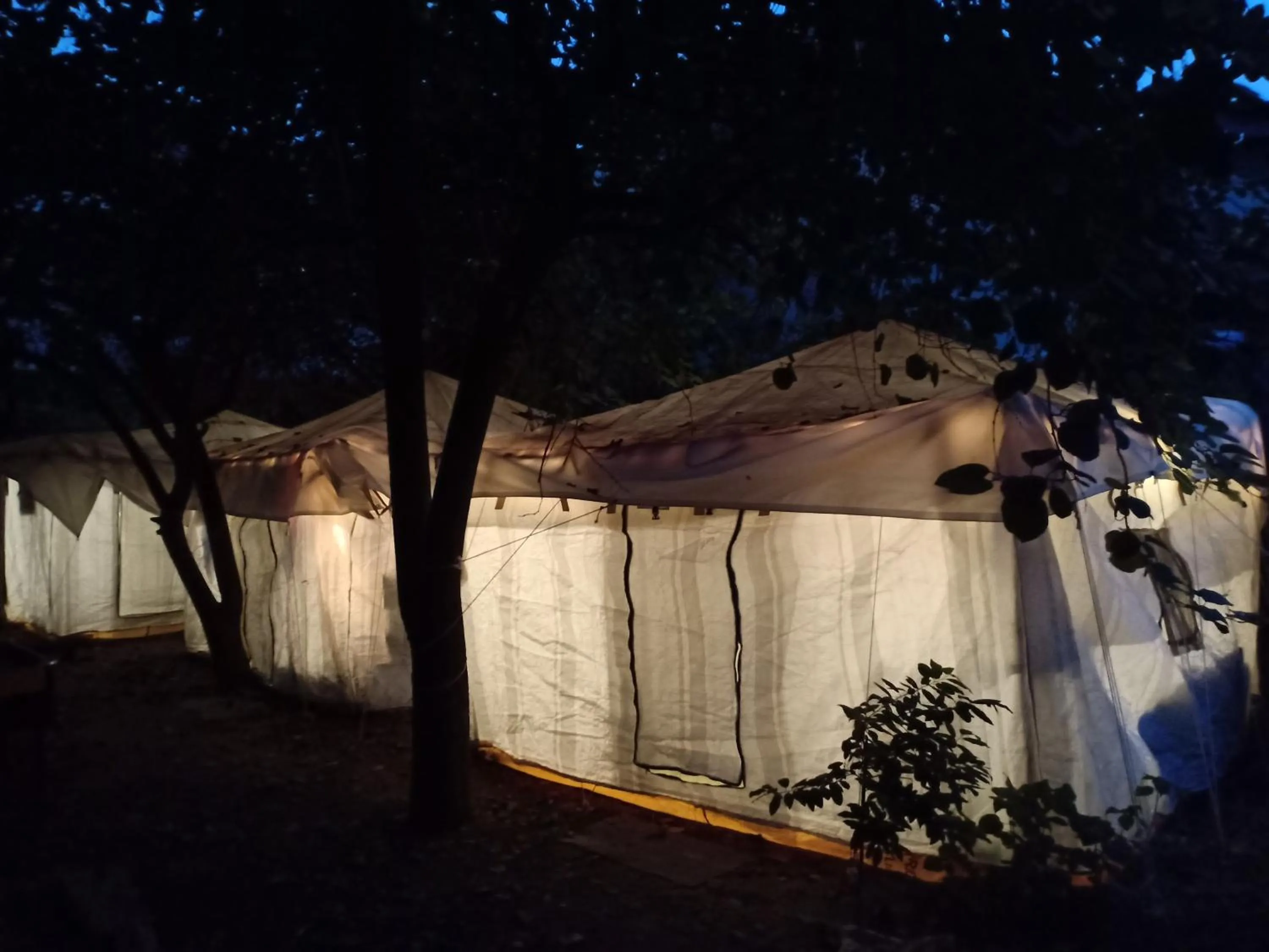 Garden view in Nature Trail camps & Homestay