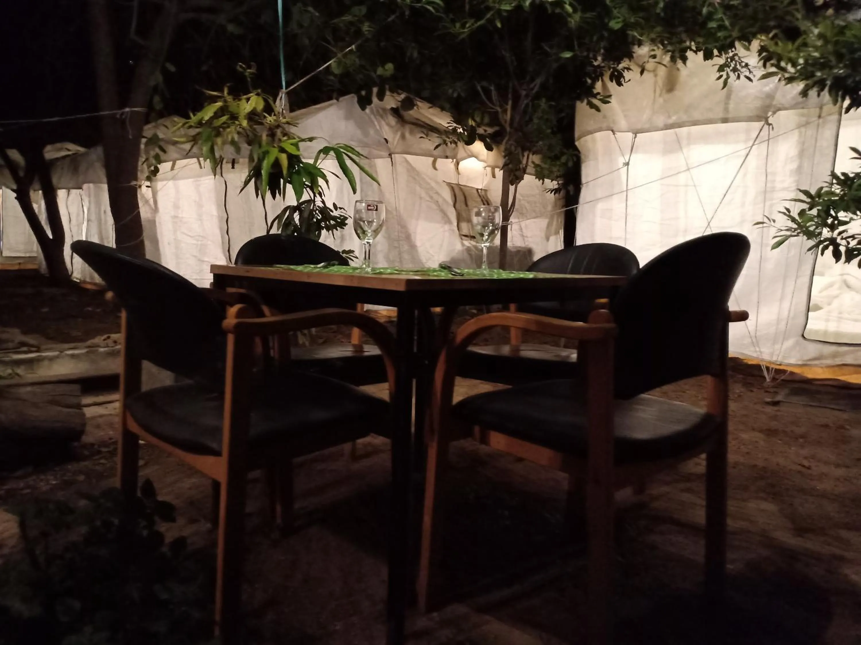 Restaurant/places to eat in Nature Trail camps & Homestay