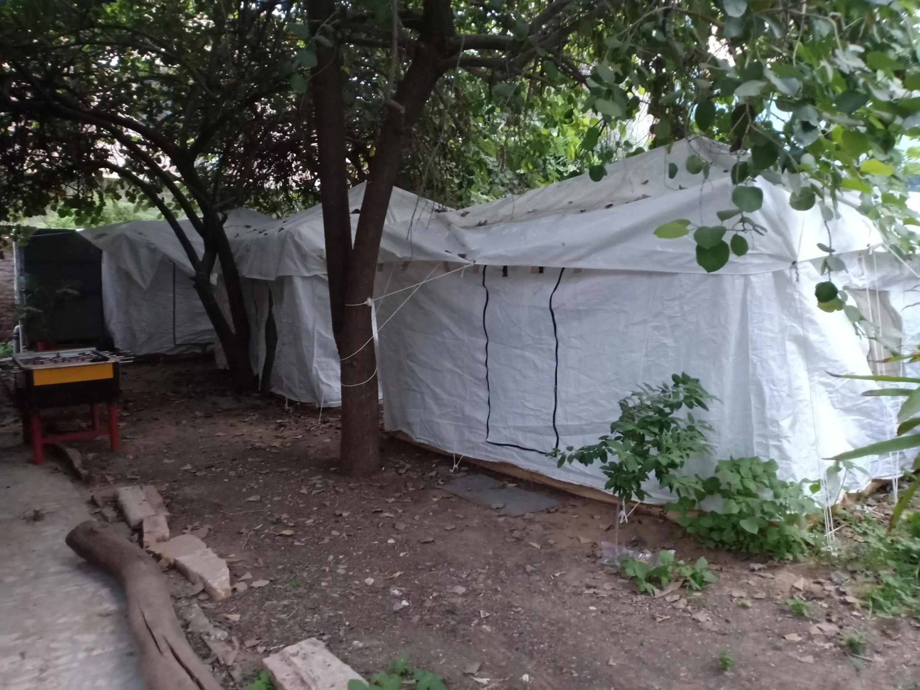 Nature Trail camps & Homestay