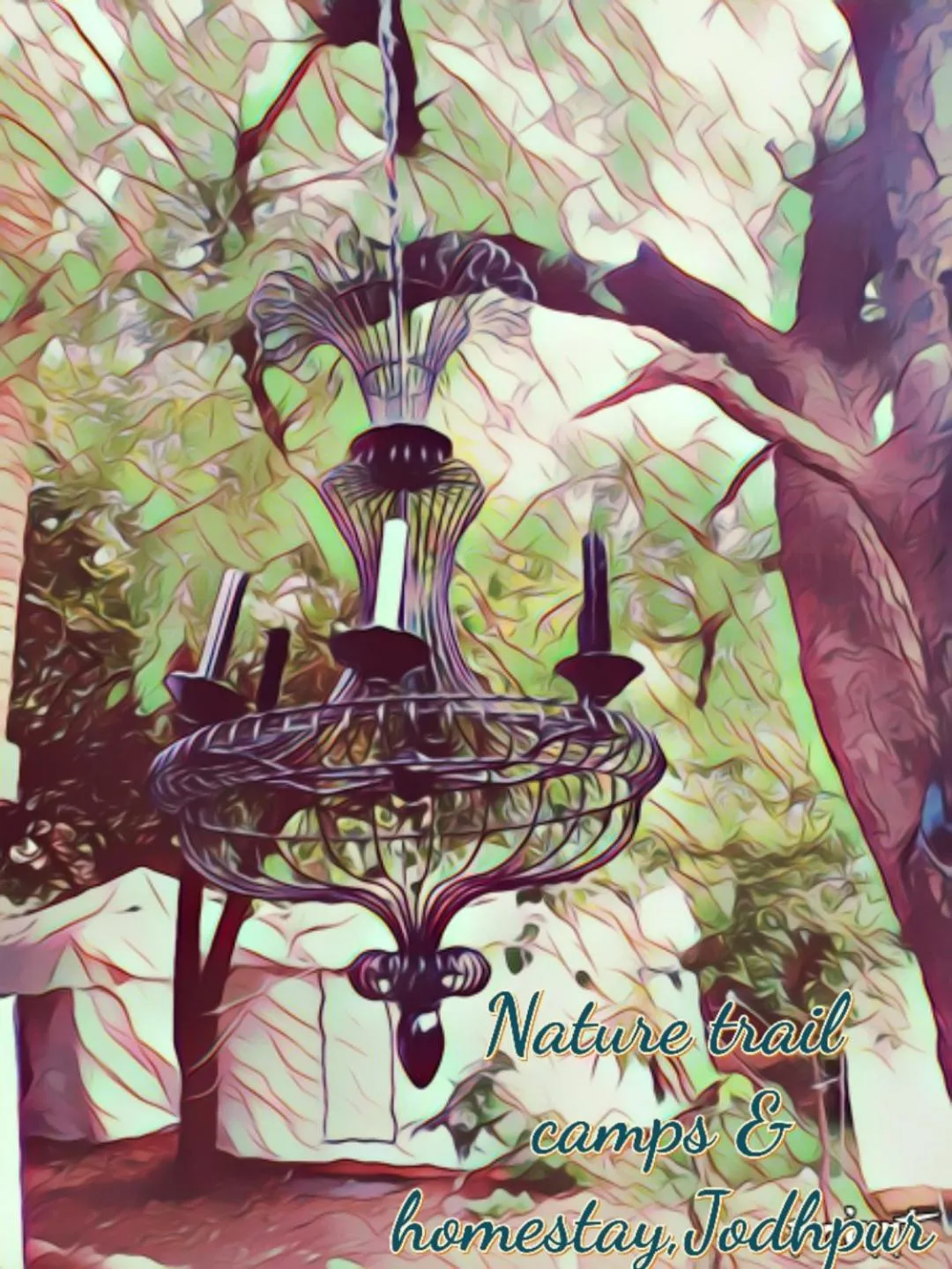 Property building in Nature Trail camps & Homestay