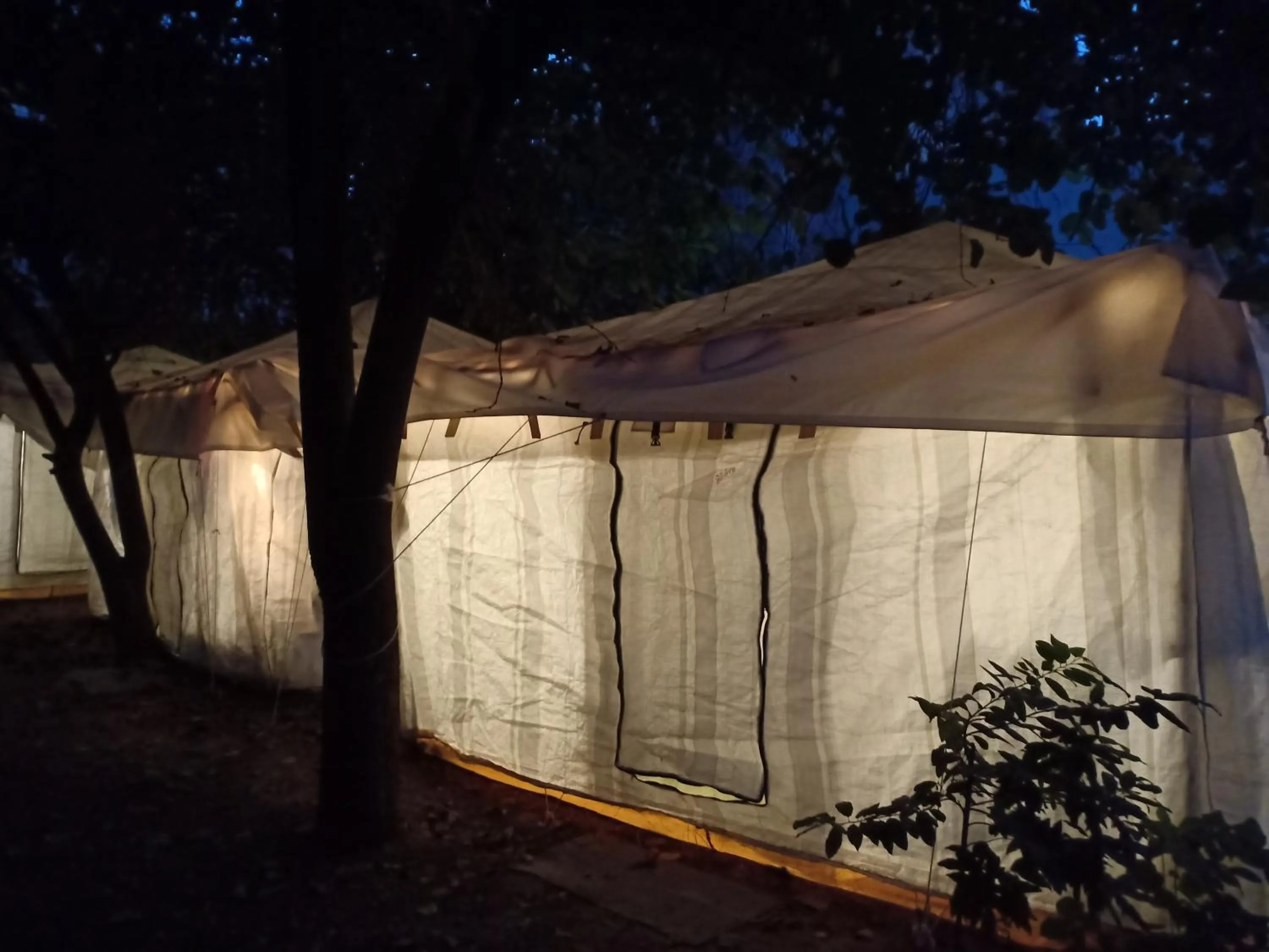 Nature Trail camps & Homestay