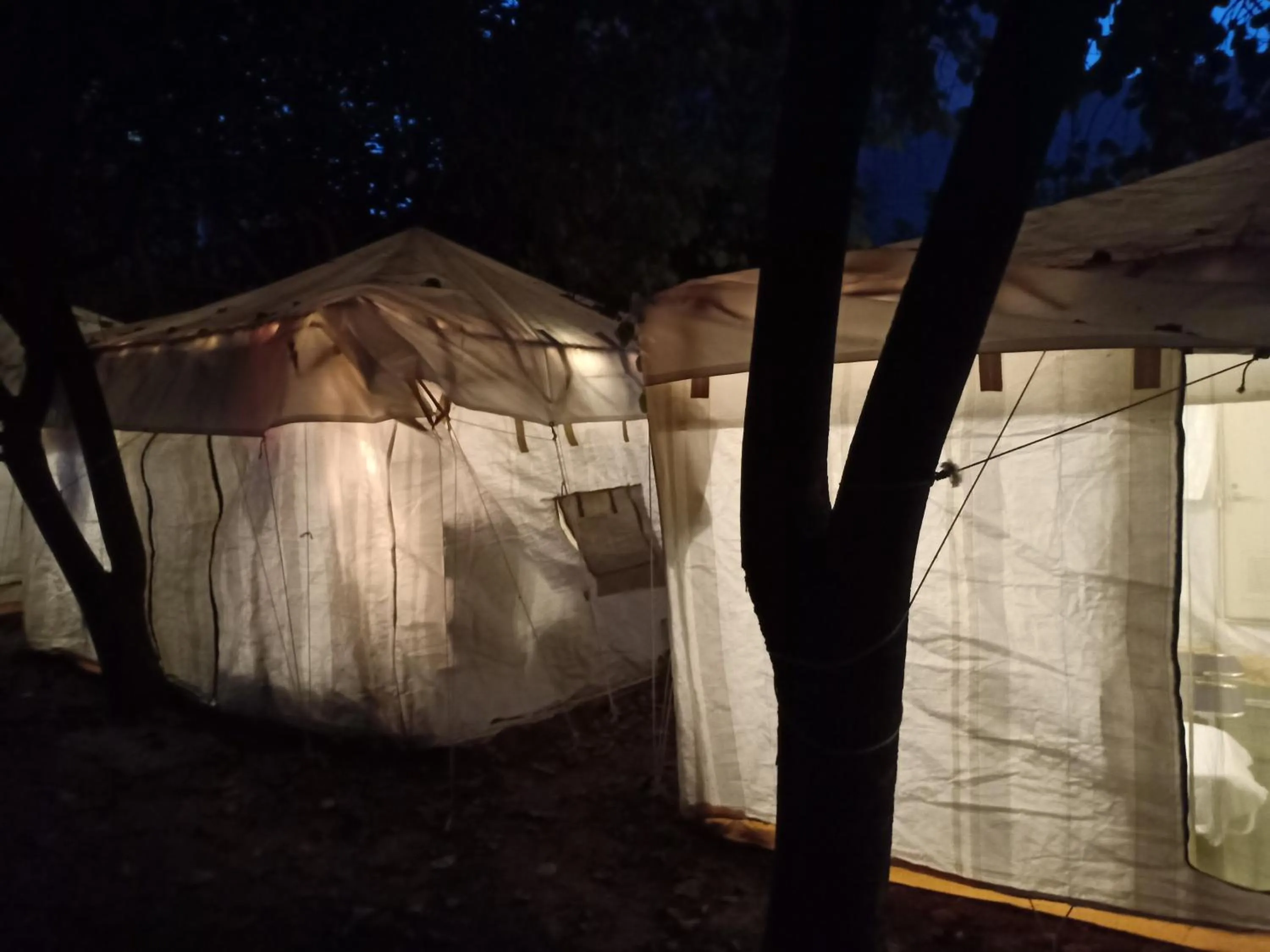 Nature Trail camps & Homestay