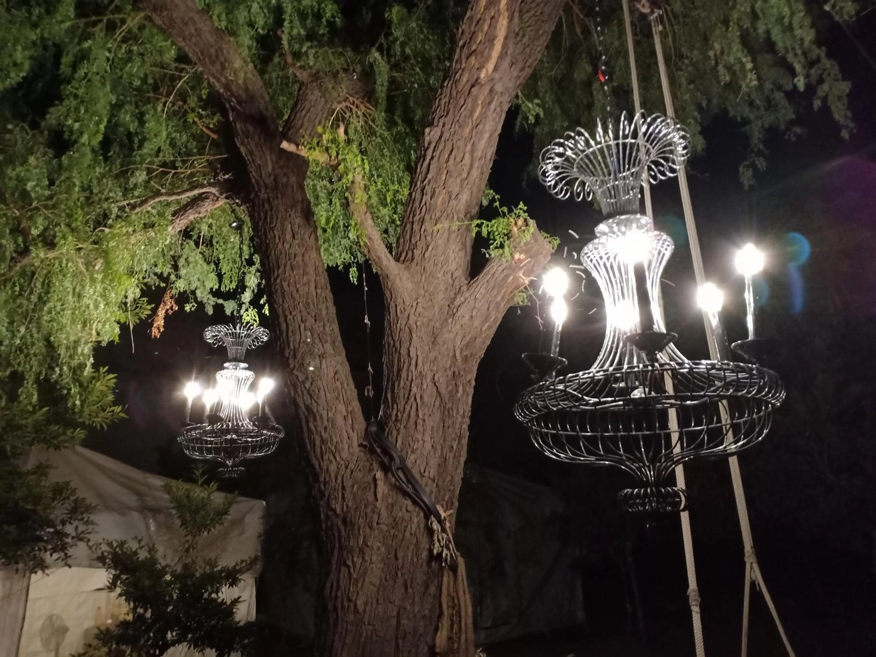 Restaurant/places to eat in Nature Trail camps & Homestay