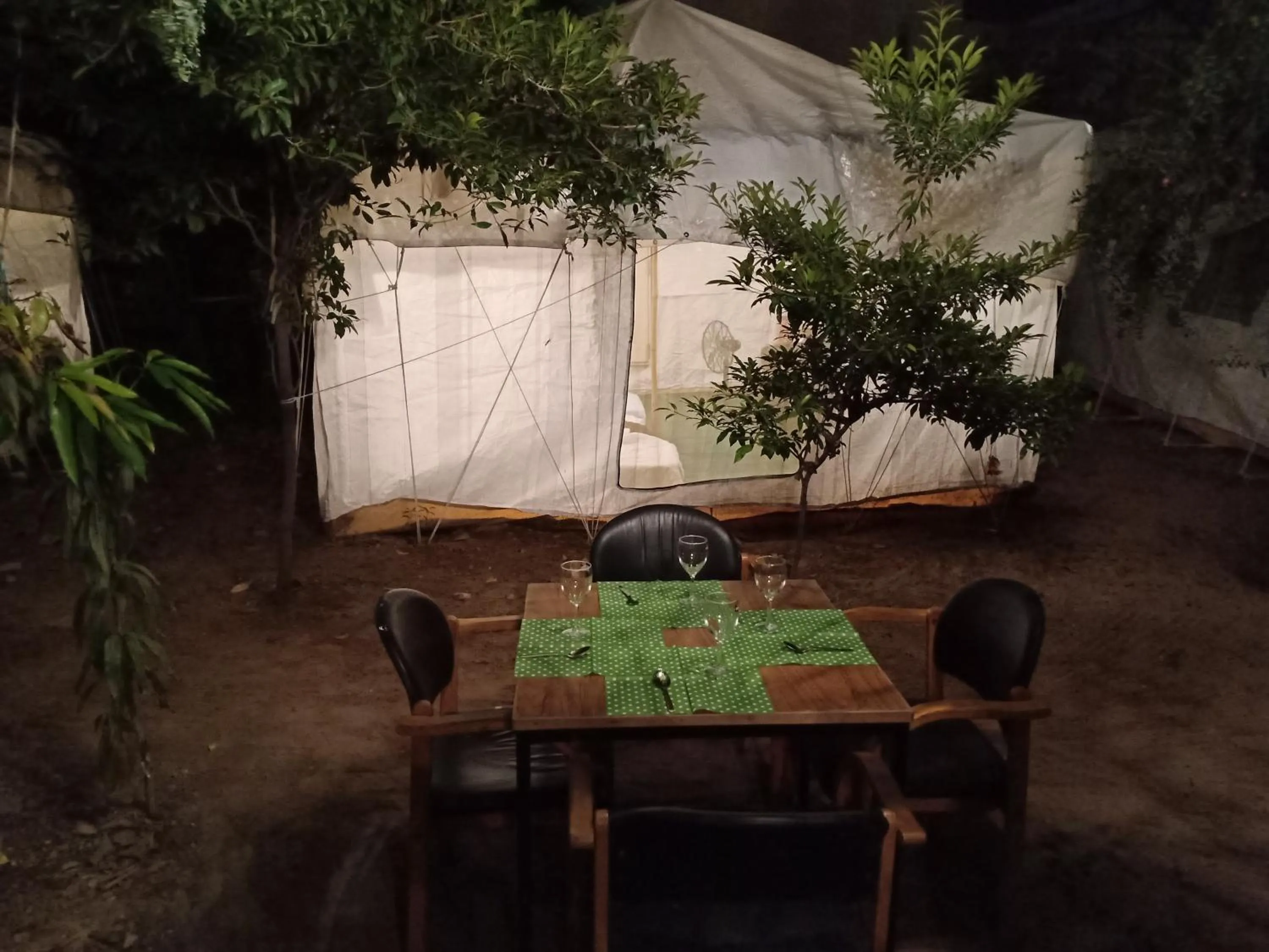 Restaurant/places to eat in Nature Trail camps & Homestay