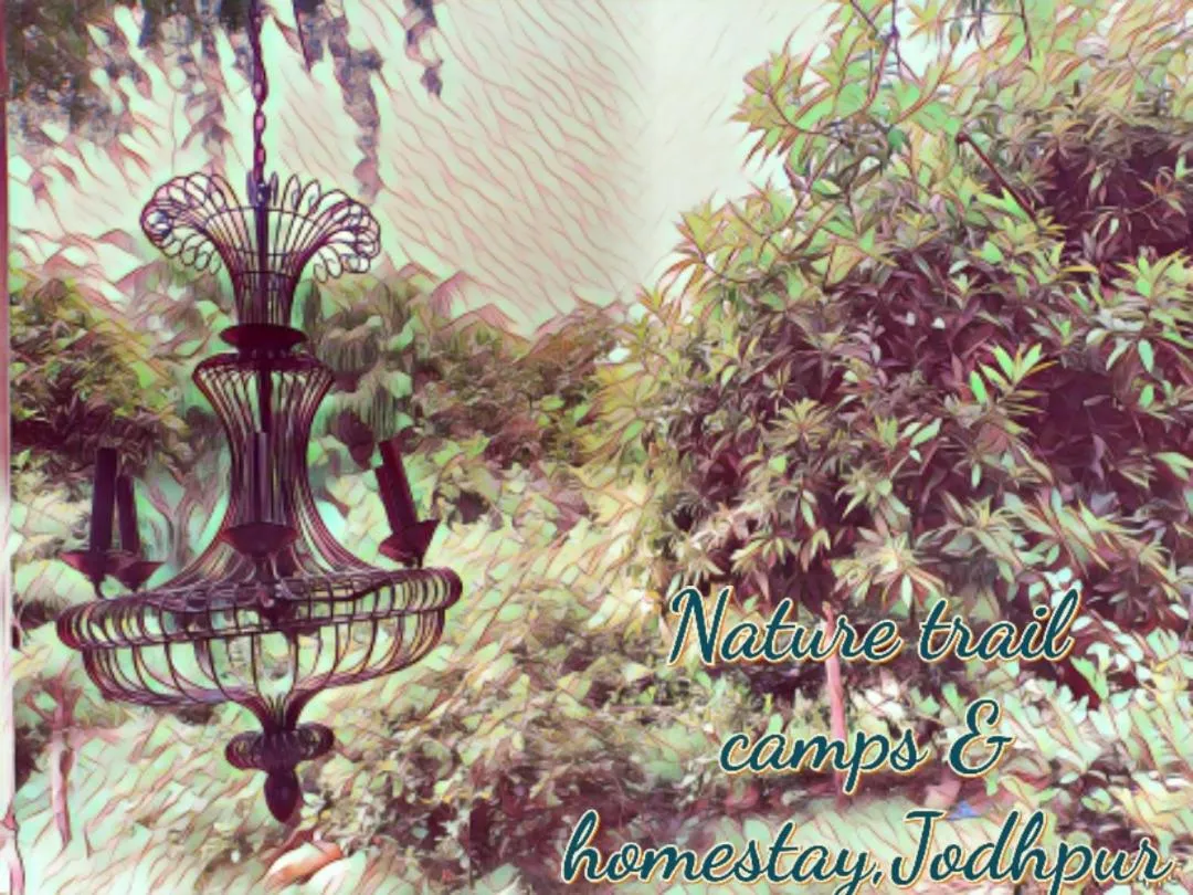 Property building in Nature Trail camps & Homestay
