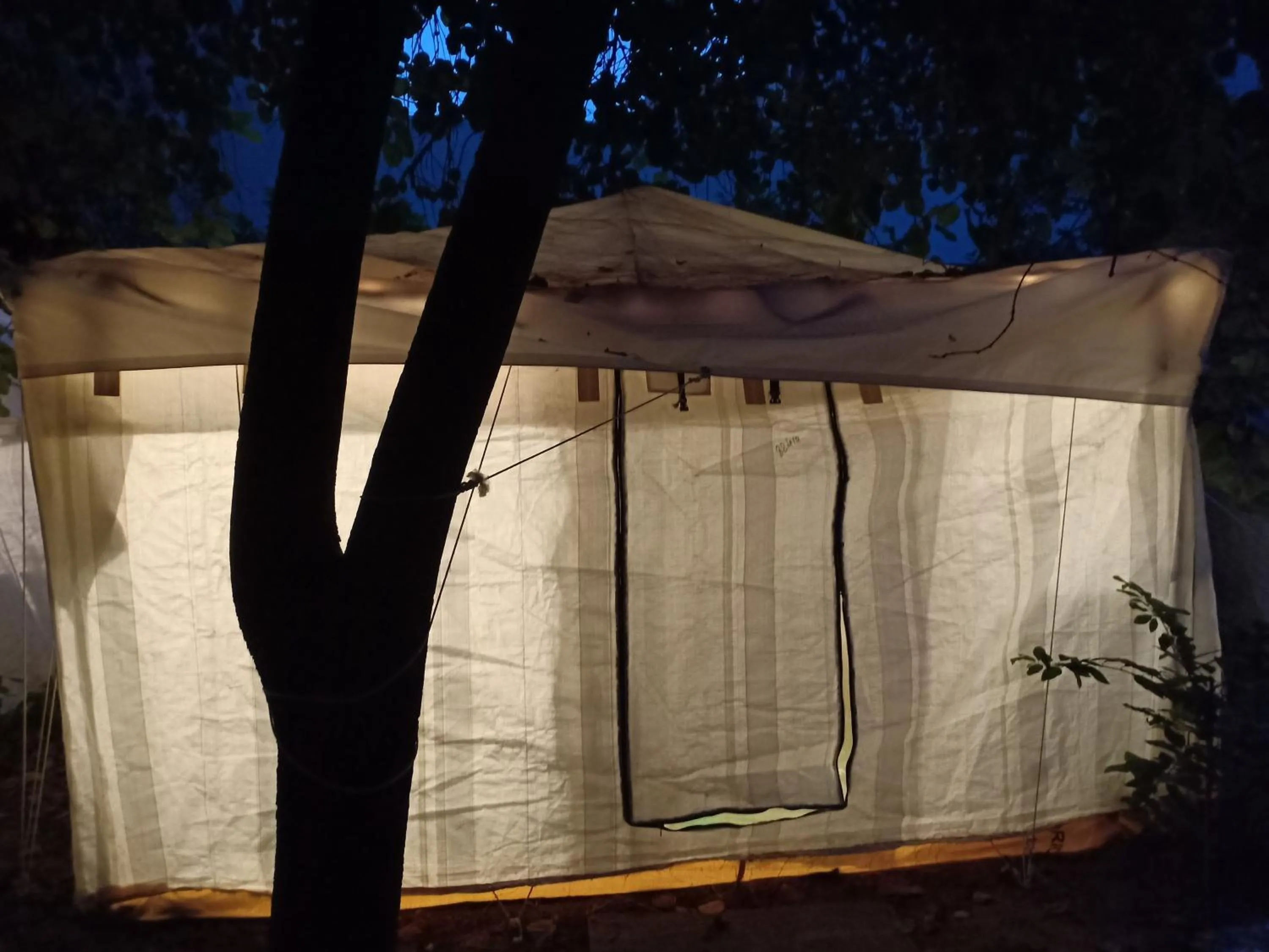 Nature Trail camps & Homestay
