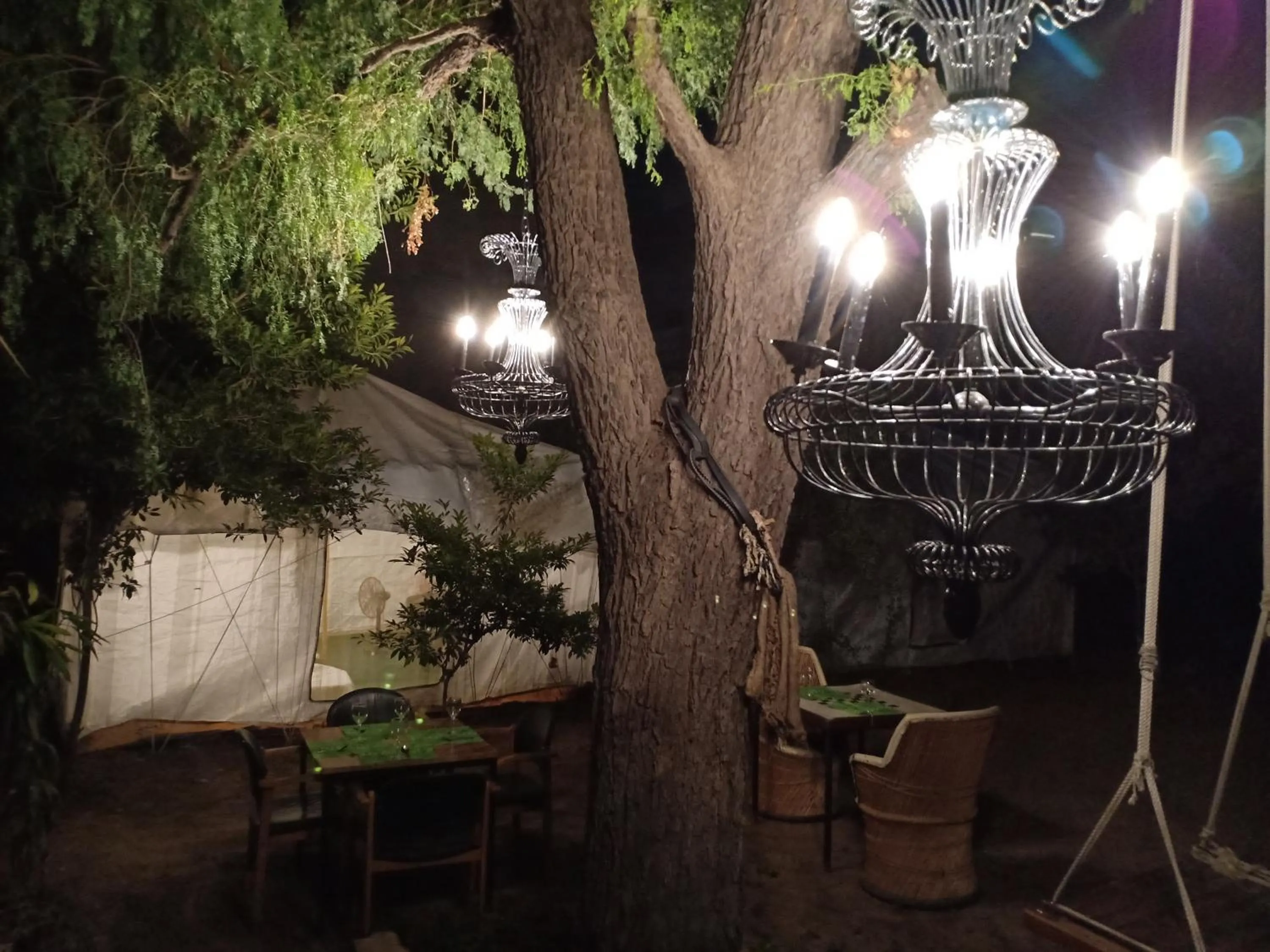 Restaurant/places to eat in Nature Trail camps & Homestay