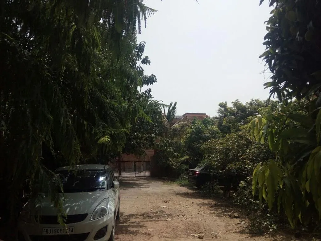 Nature Trail camps & Homestay