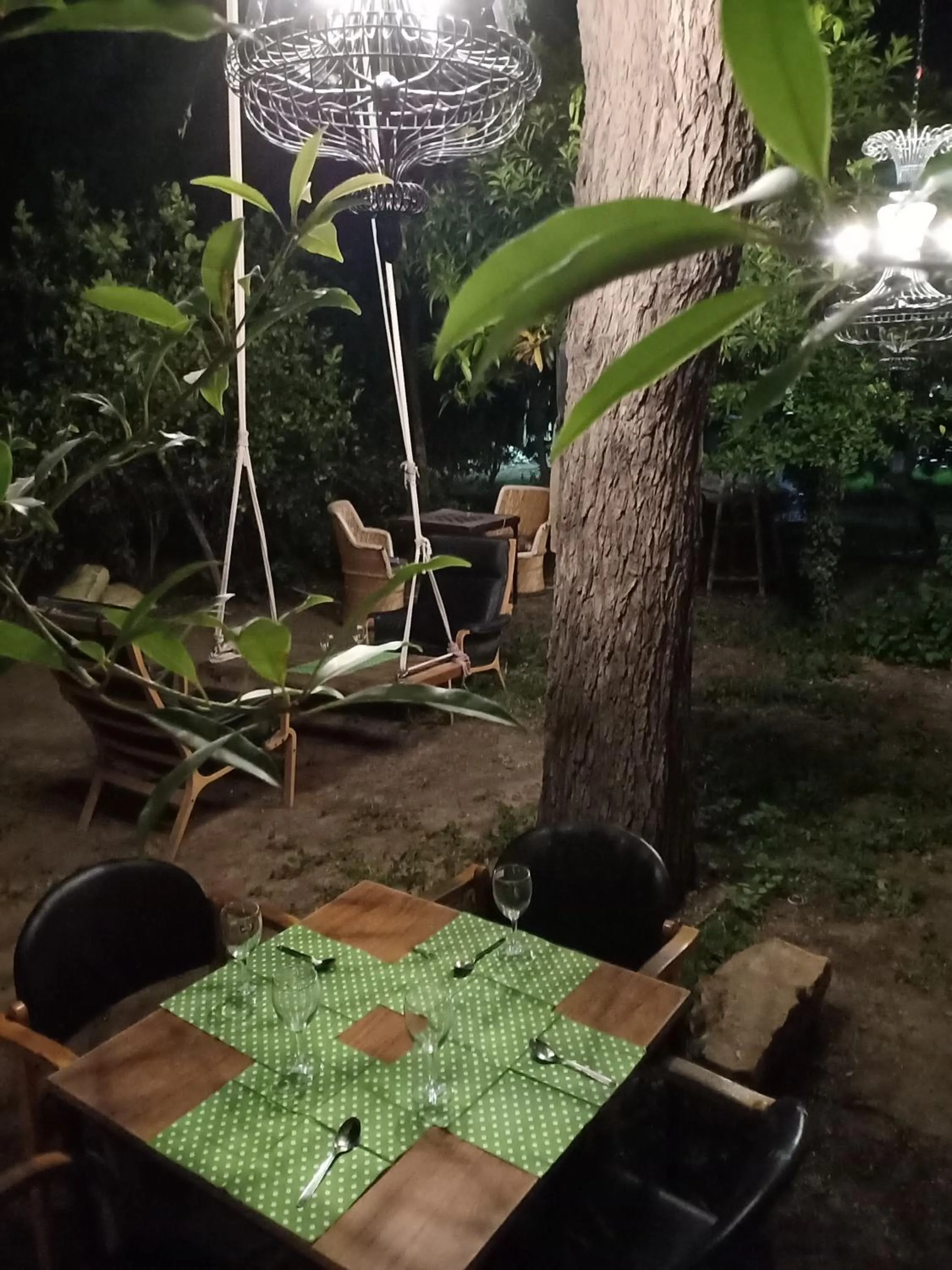 Restaurant/places to eat in Nature Trail camps & Homestay