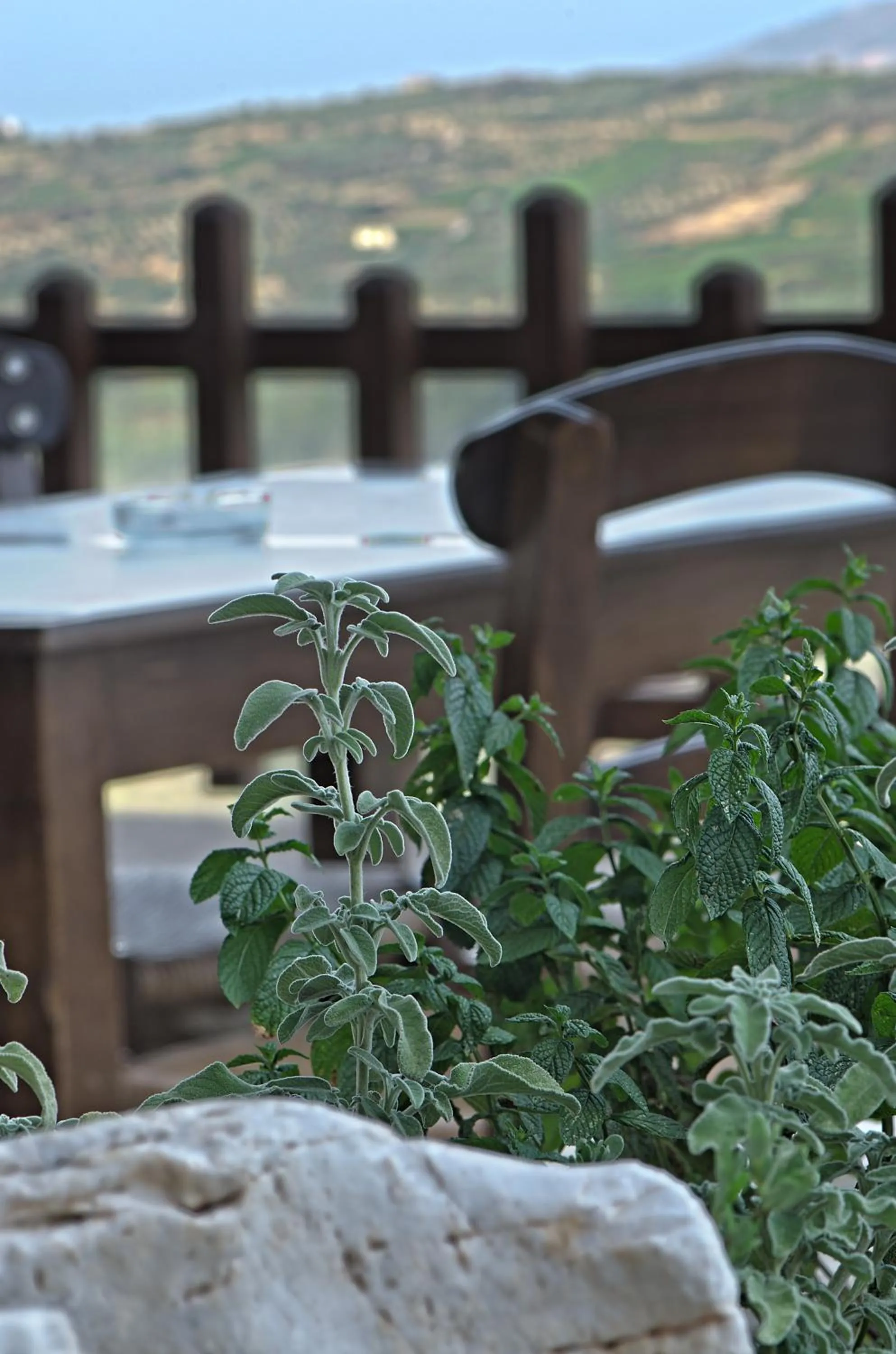 Natural landscape in Earino