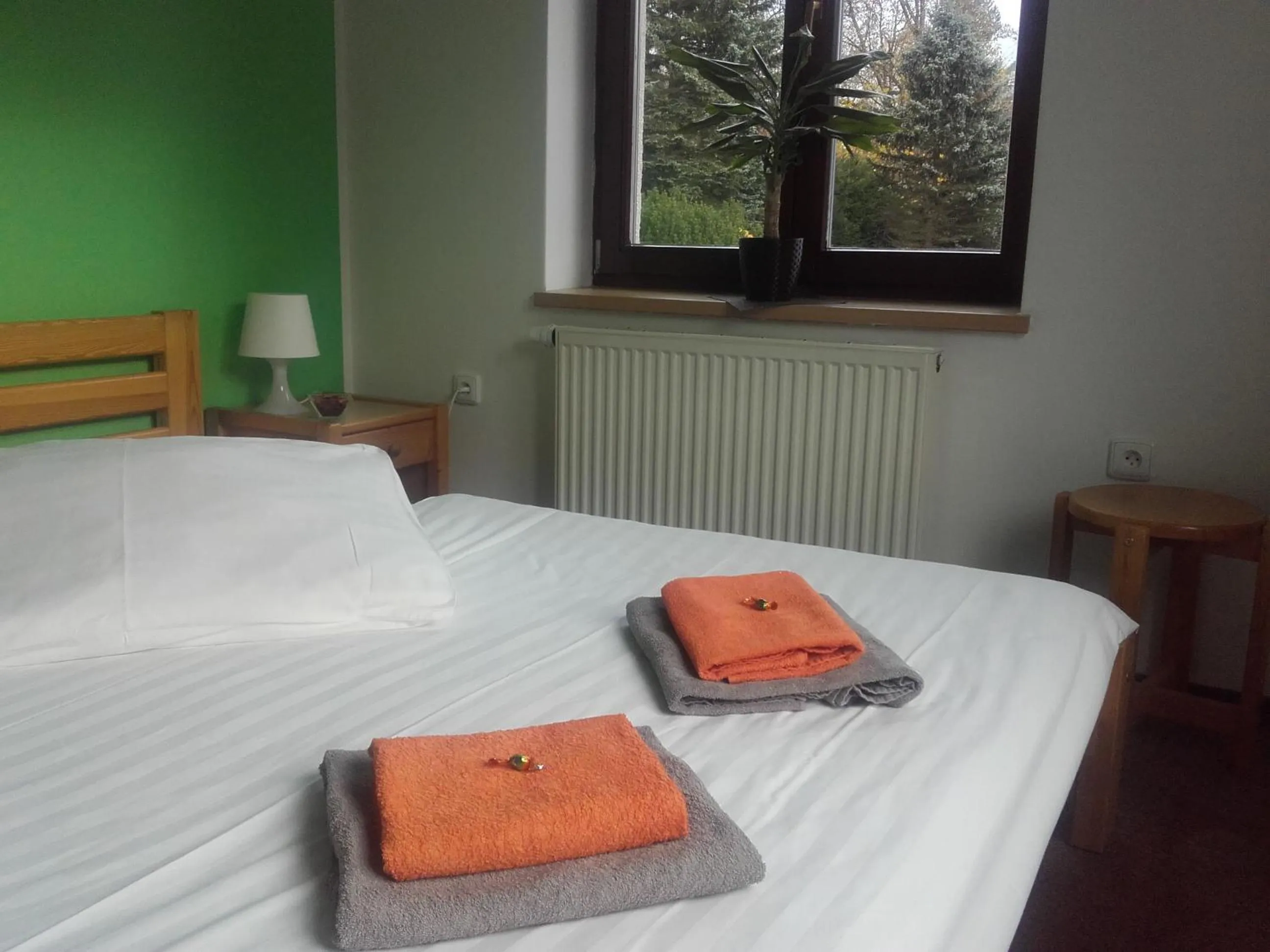 Photo of the whole room, Bed in Hotel Anna