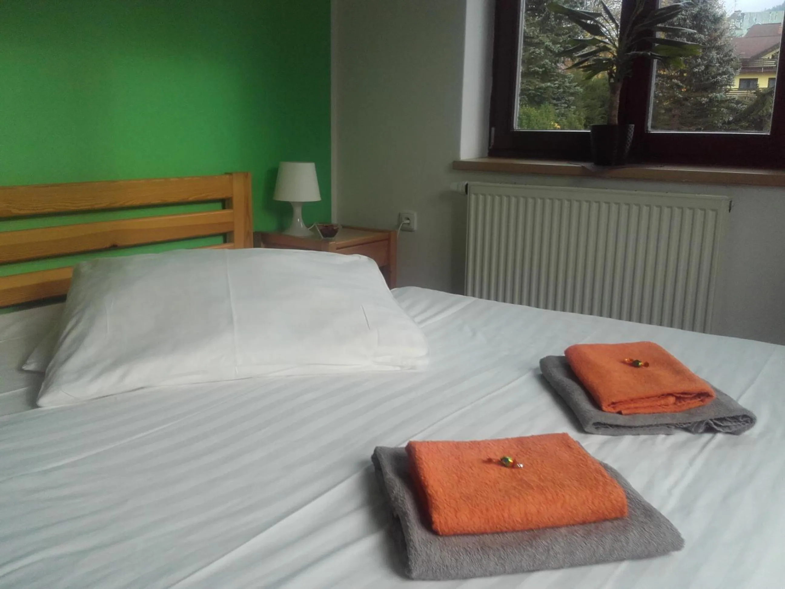 Photo of the whole room, Bed in Hotel Anna