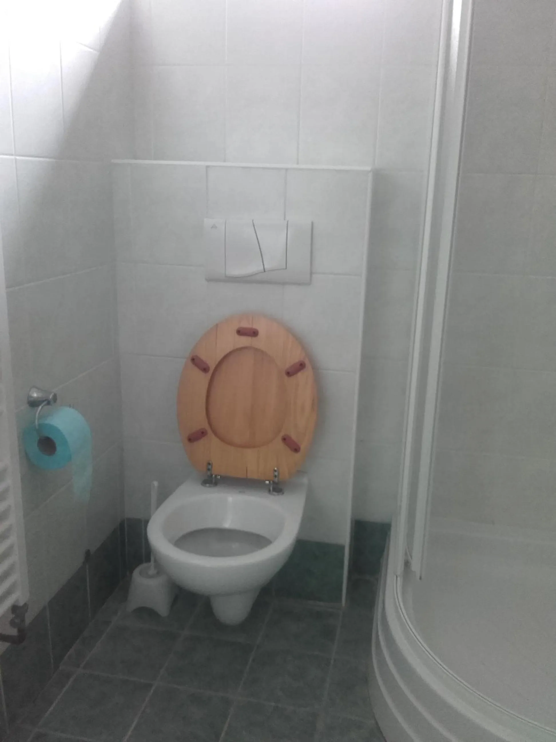 Toilet in Hotel Anna