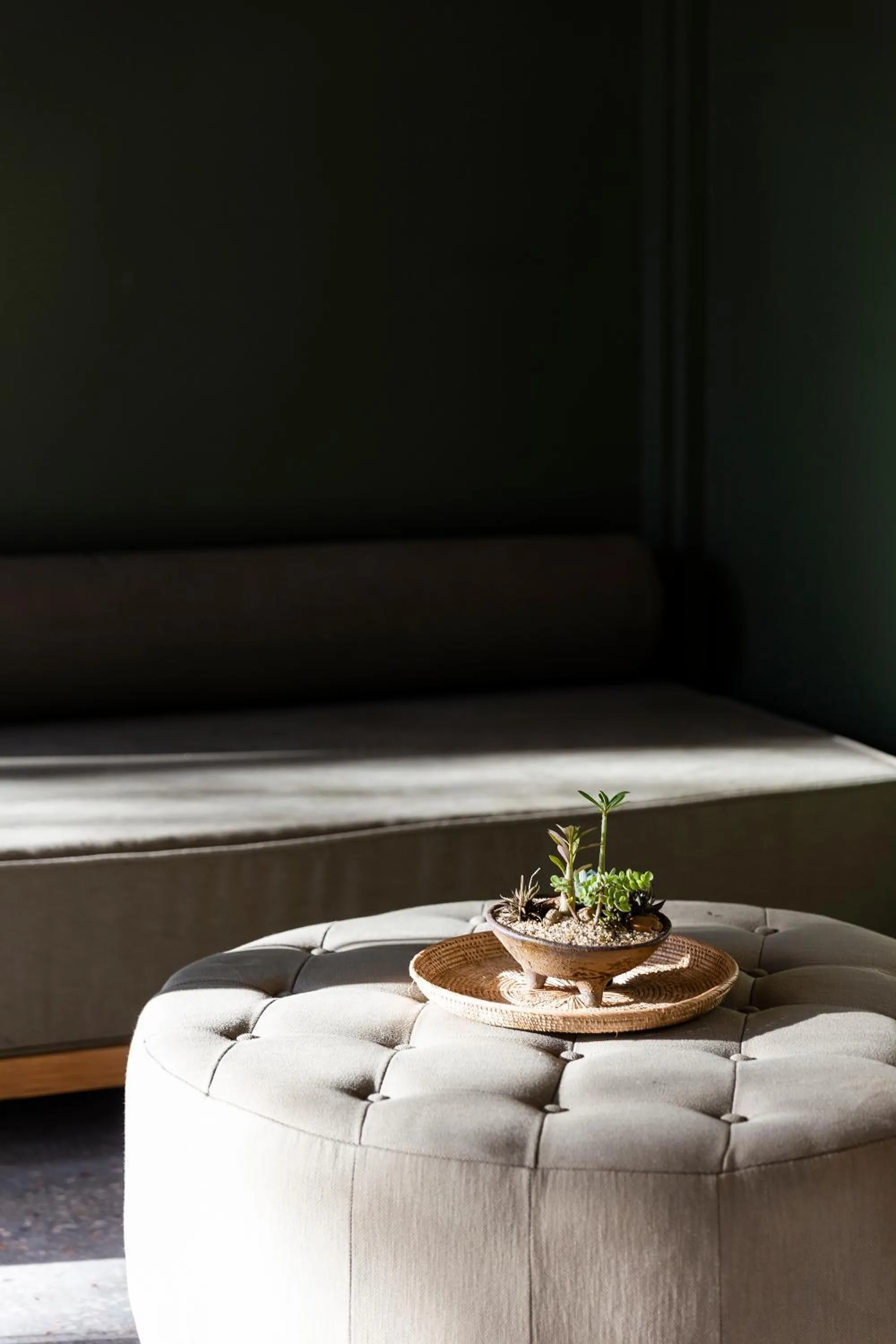 MiLa Thapae@Chiang Mai Old City