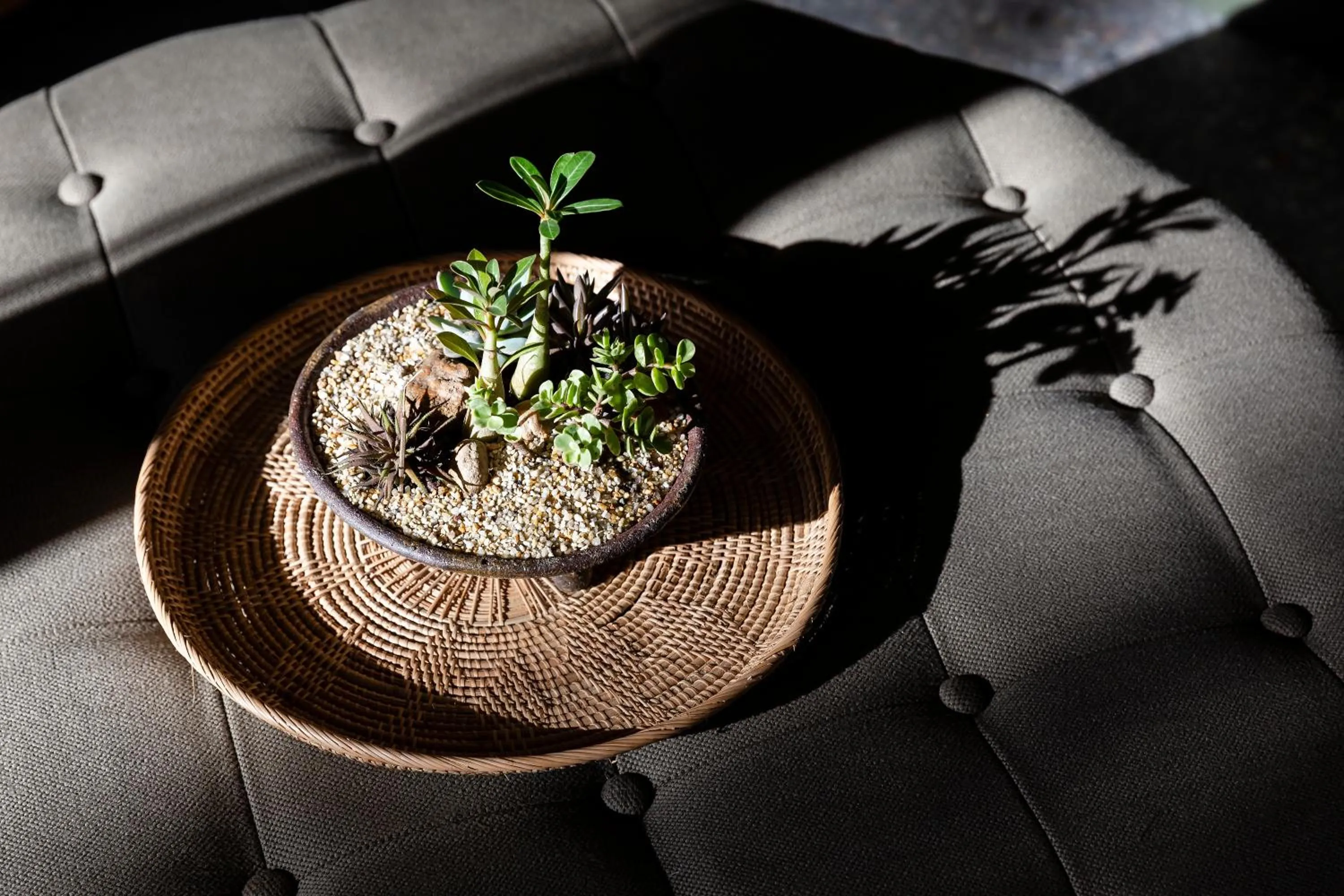 MiLa Thapae@Chiang Mai Old City