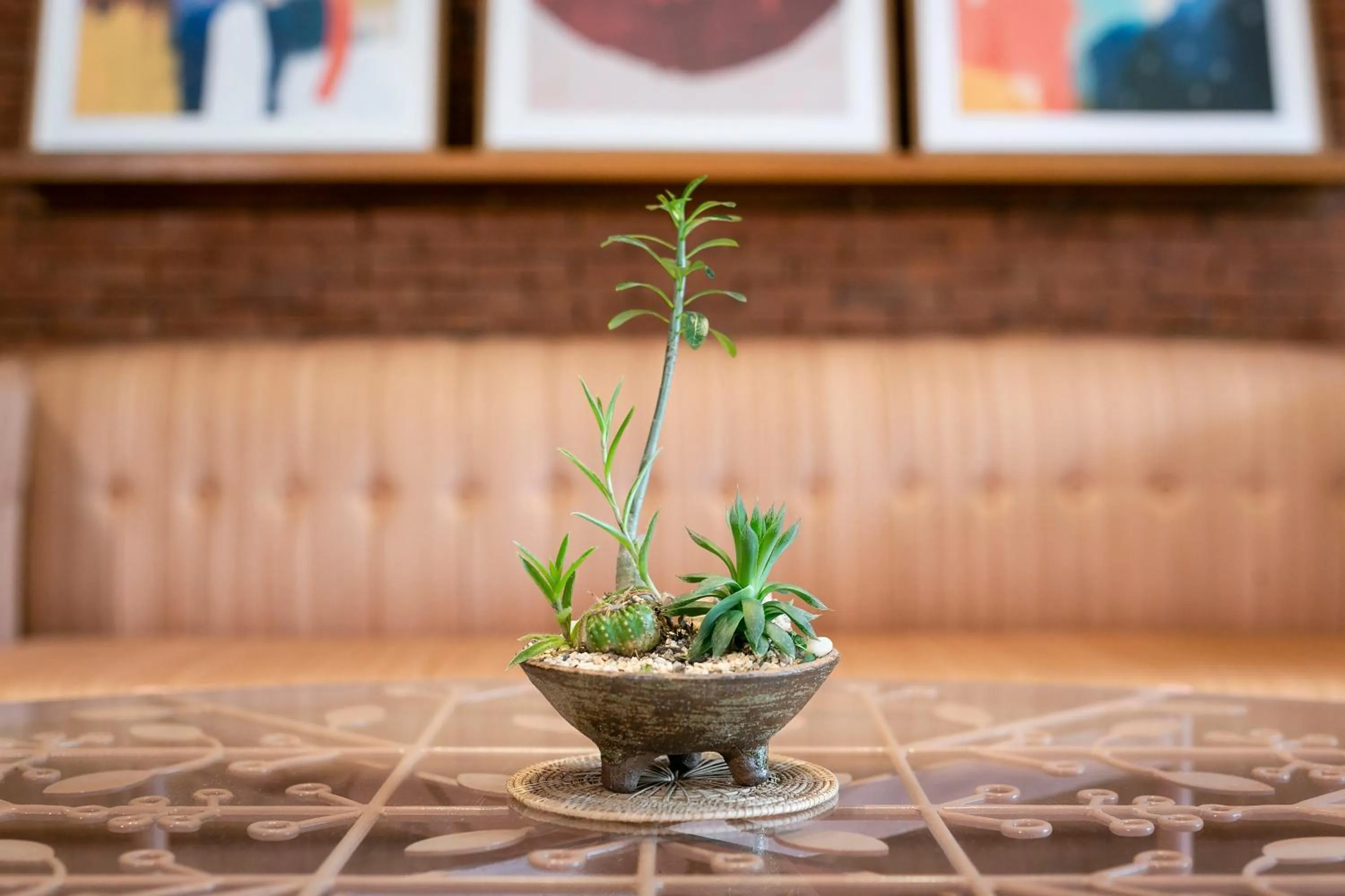 MiLa Thapae@Chiang Mai Old City