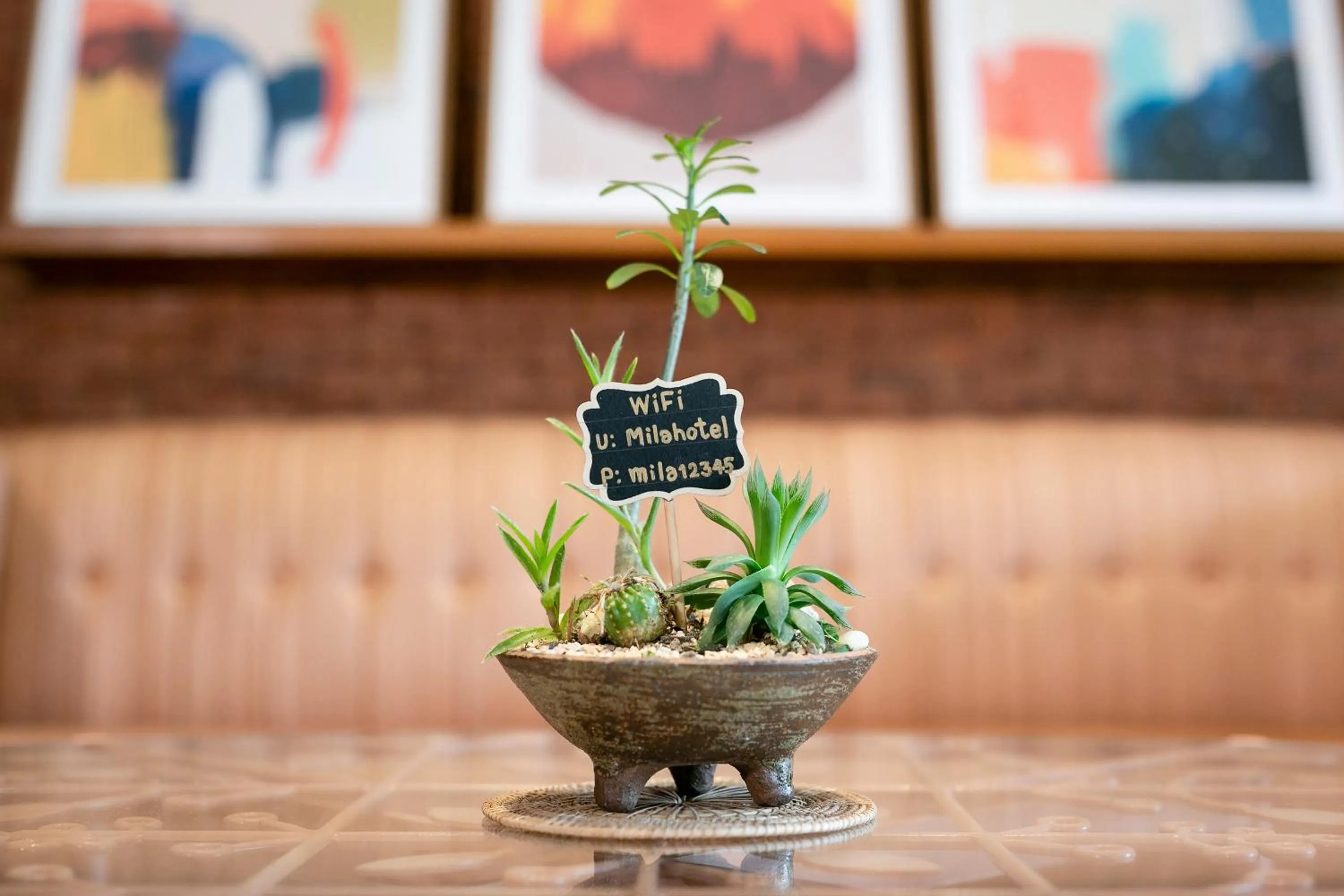 MiLa Thapae@Chiang Mai Old City