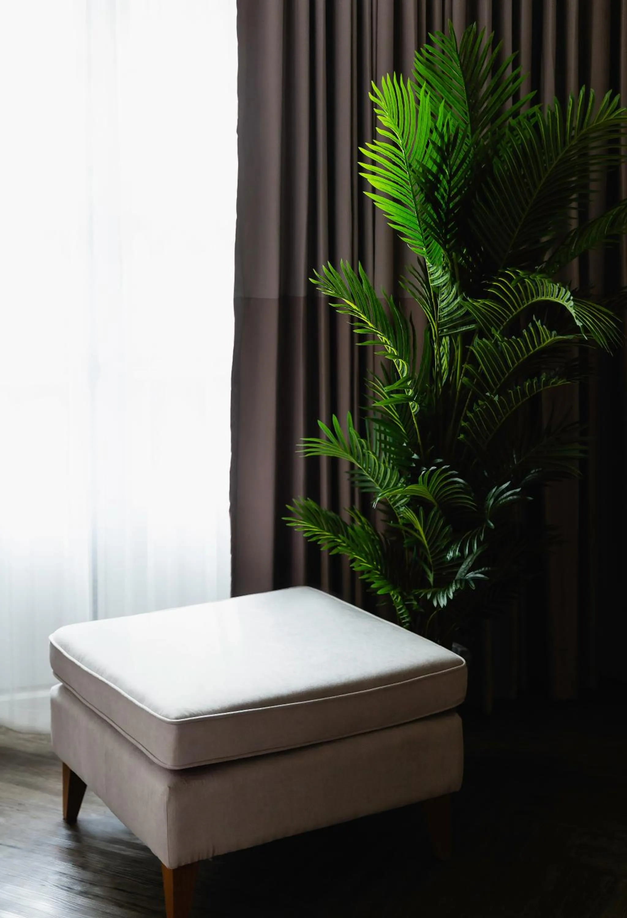 Decorative detail in MiLa Thapae@Chiang Mai Old City