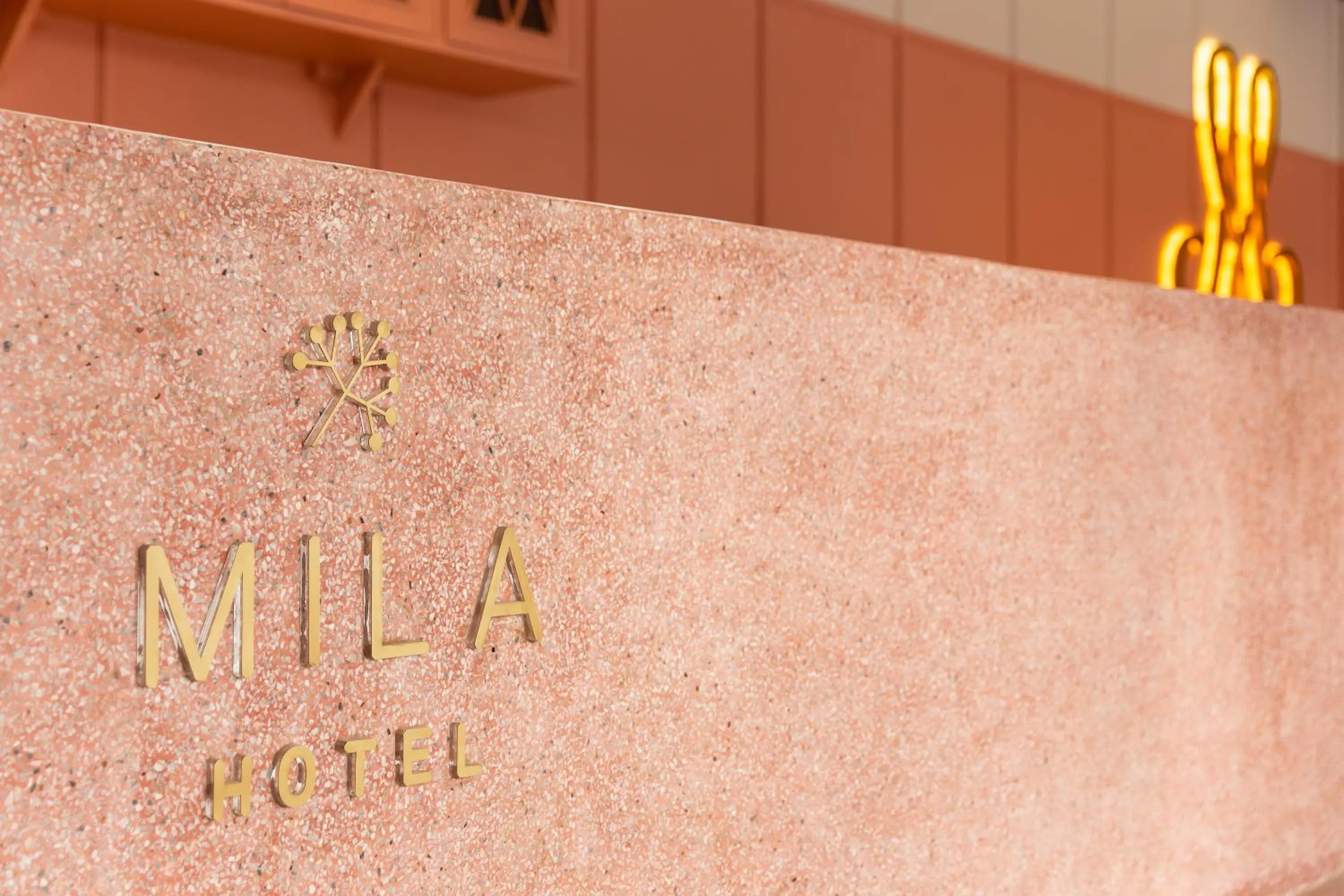 Property building in MiLa Thapae@Chiang Mai Old City