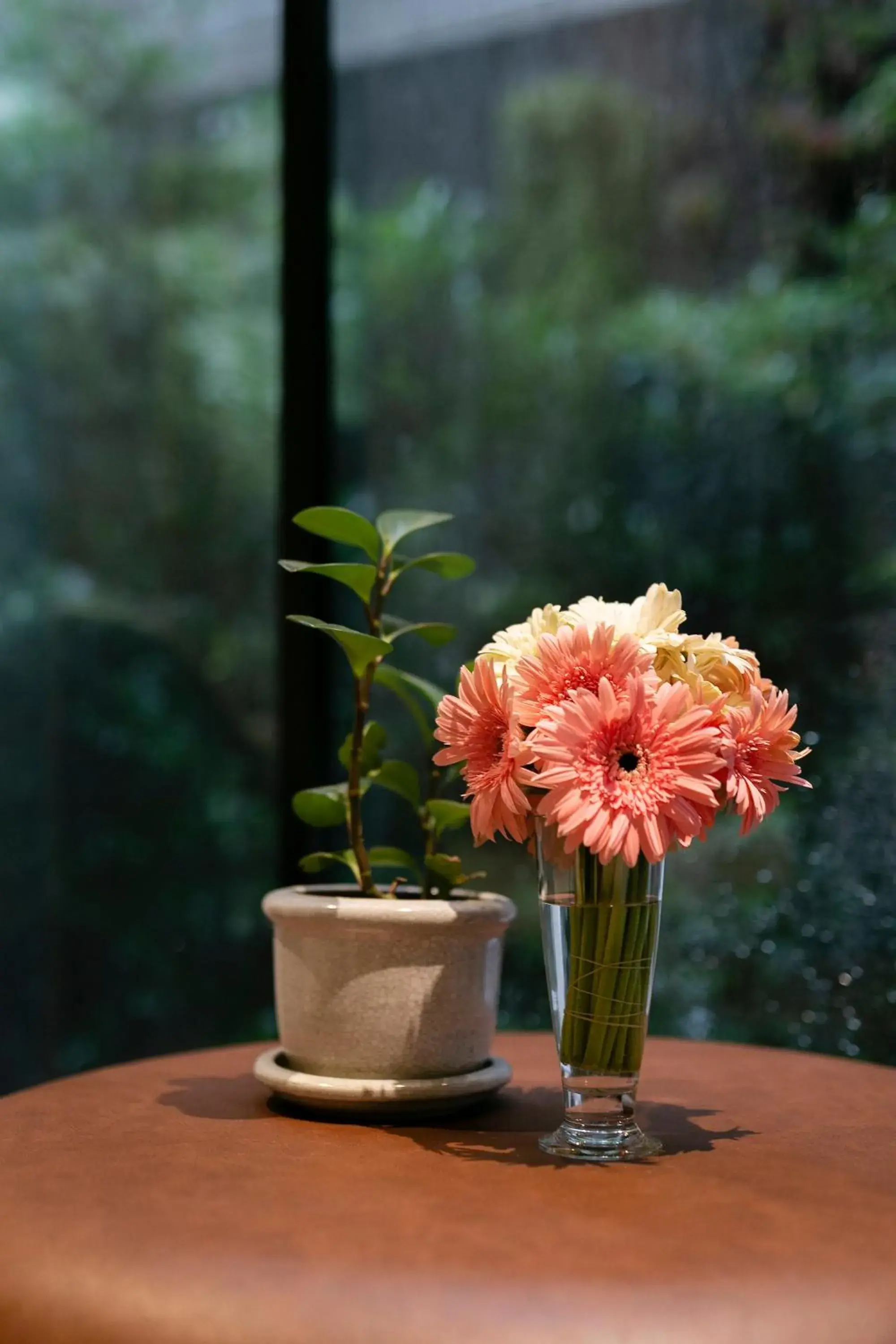 Bedroom in MiLa Thapae@Chiang Mai Old City Bedroom in MiLa Thapae@Chiang Mai Old City
