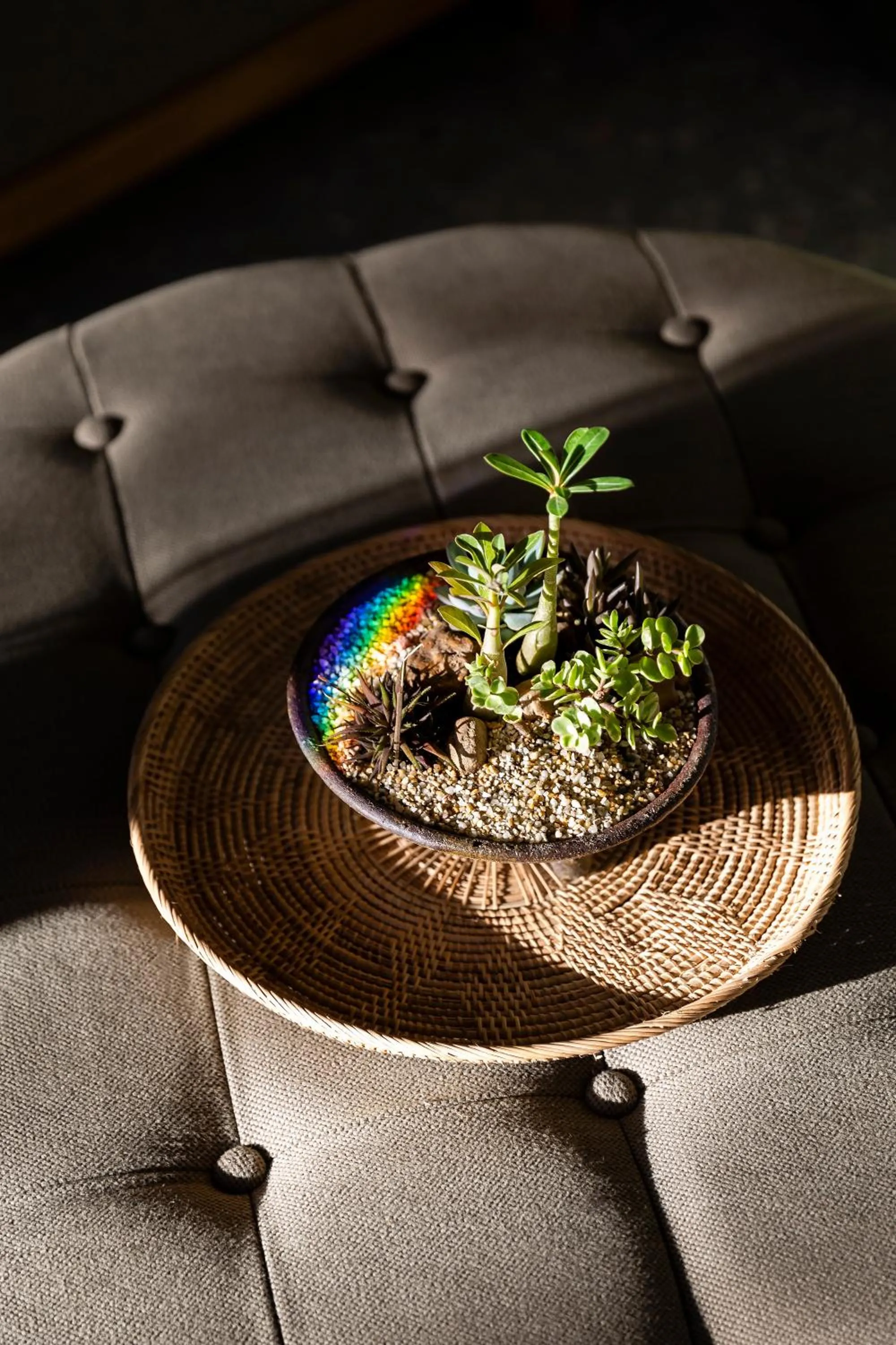 Restaurant/places to eat in MiLa Thapae@Chiang Mai Old City