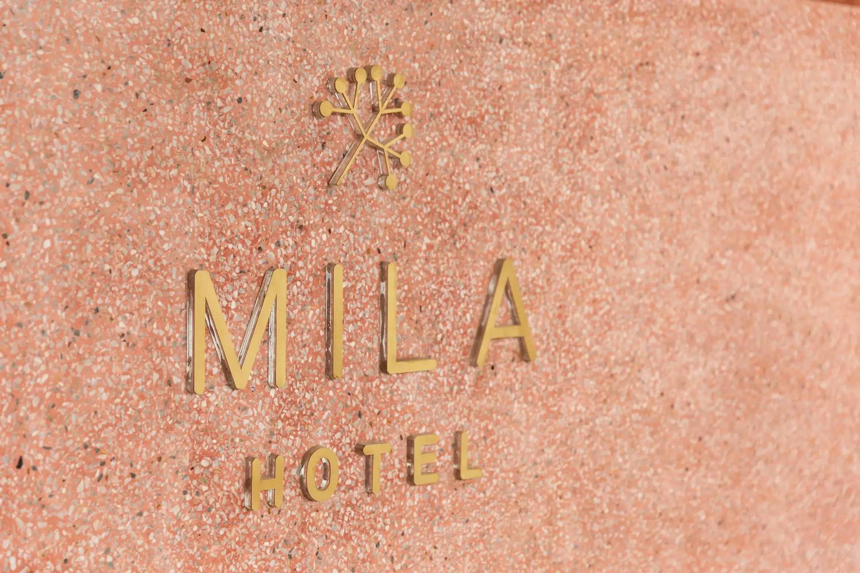 Property building in MiLa Thapae@Chiang Mai Old City Property building in MiLa Thapae@Chiang Mai Old City