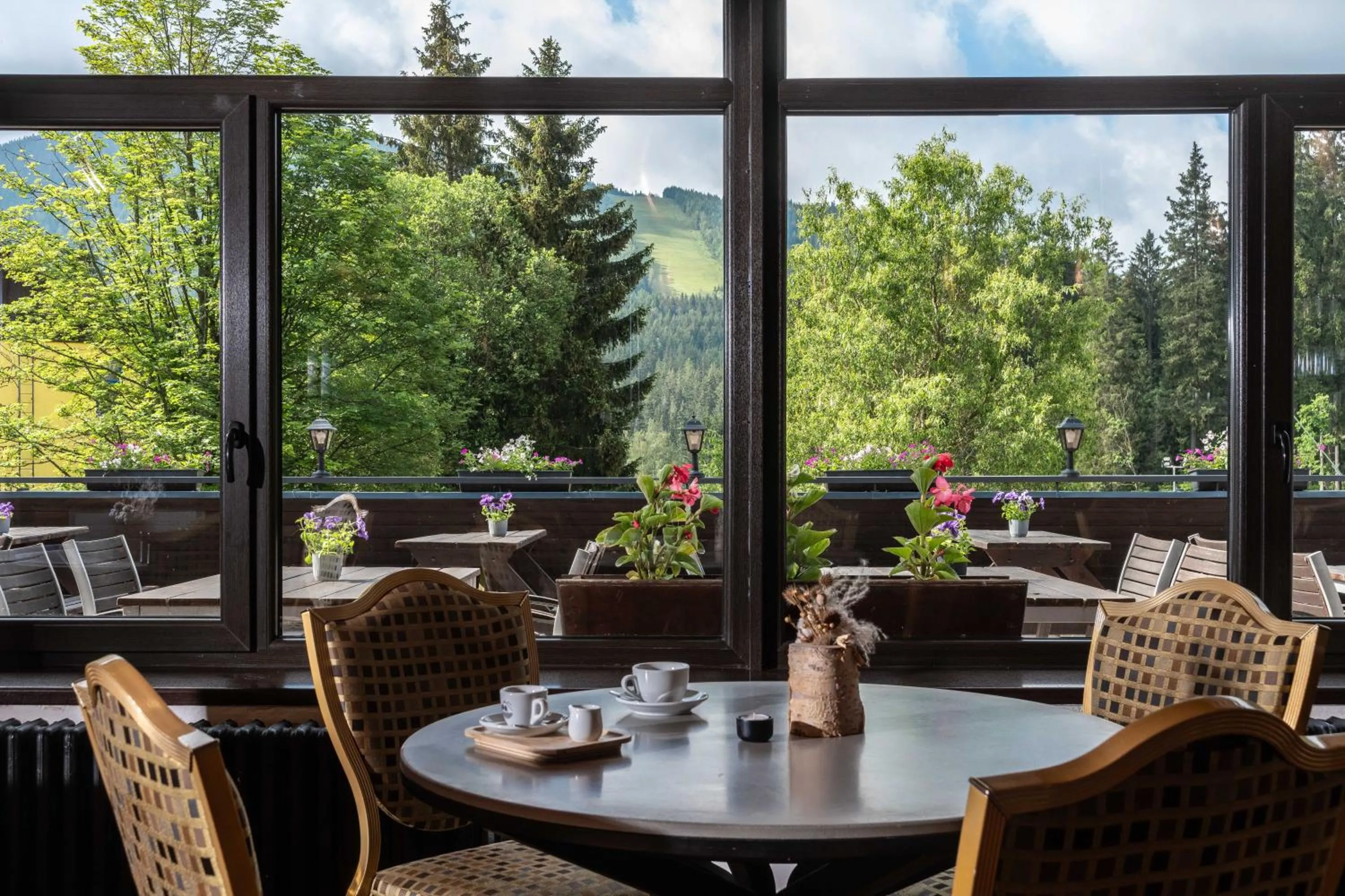 Wellness Hotel Šedý Vlk