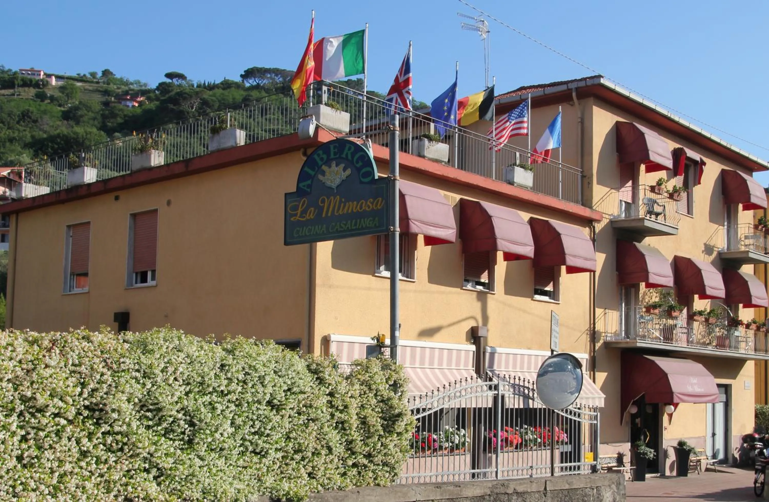 Other in Albergo La Mimosa