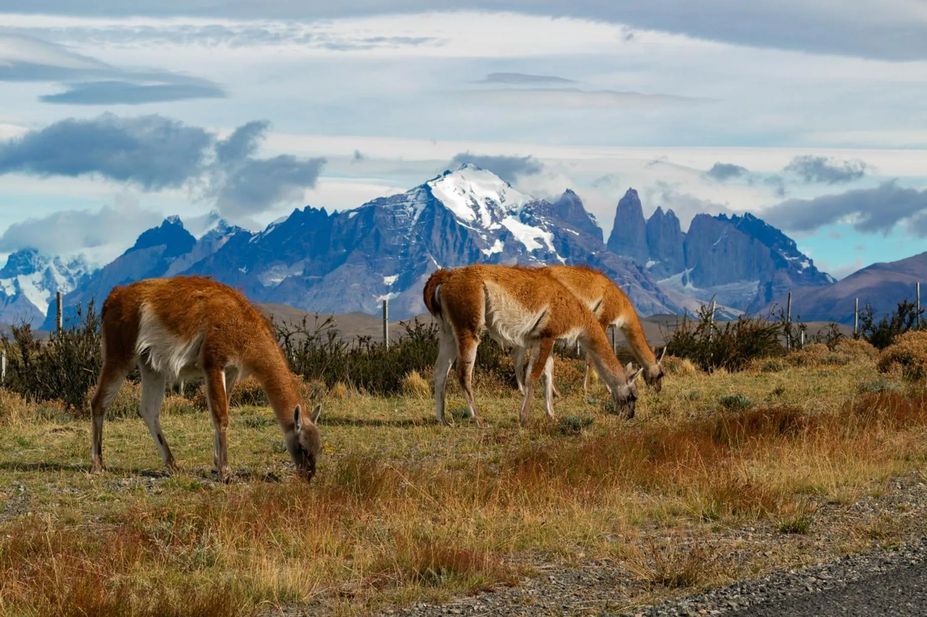 Activities in The Singular Patagonia Hotel