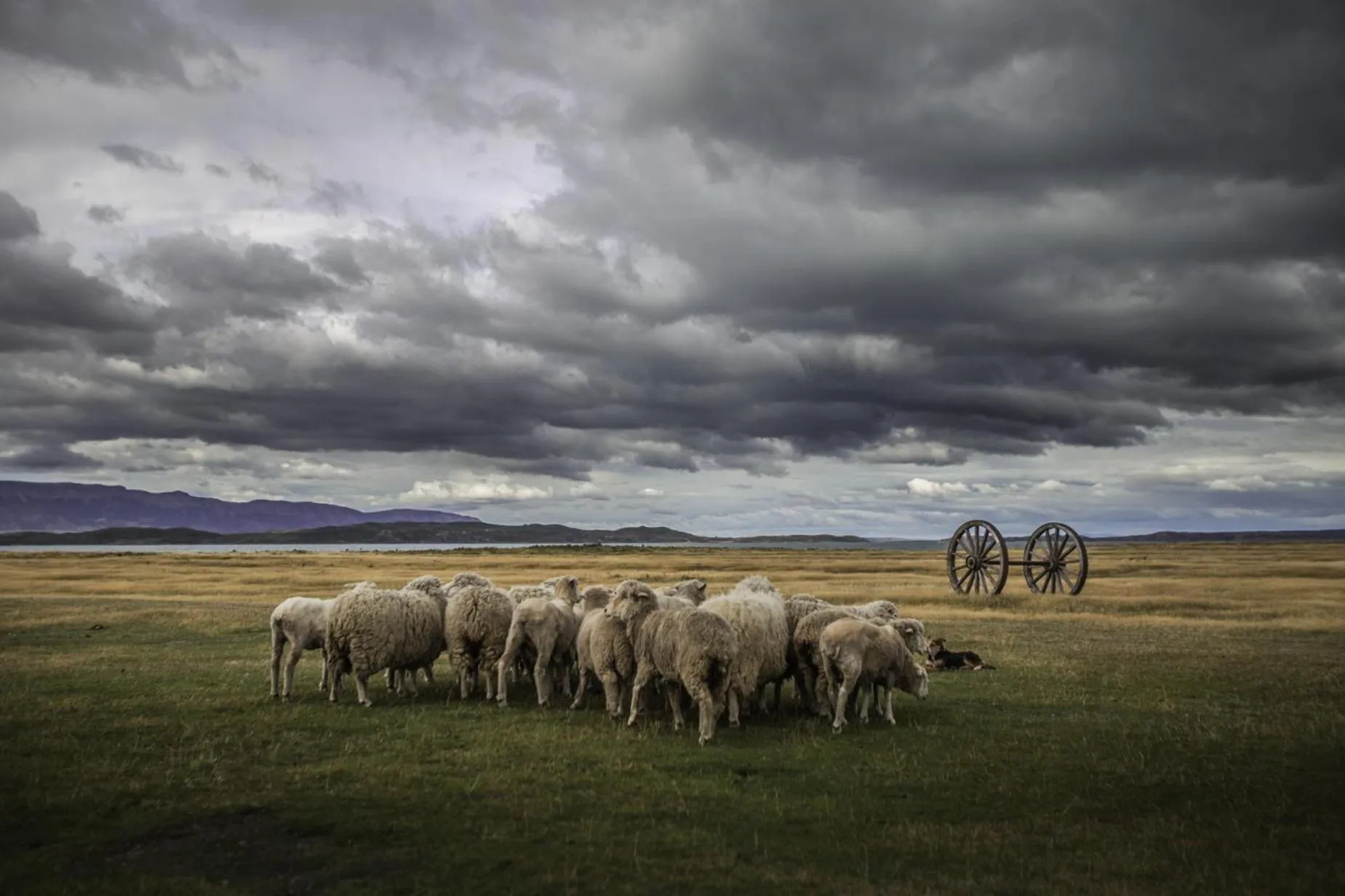 Activities in The Singular Patagonia Hotel